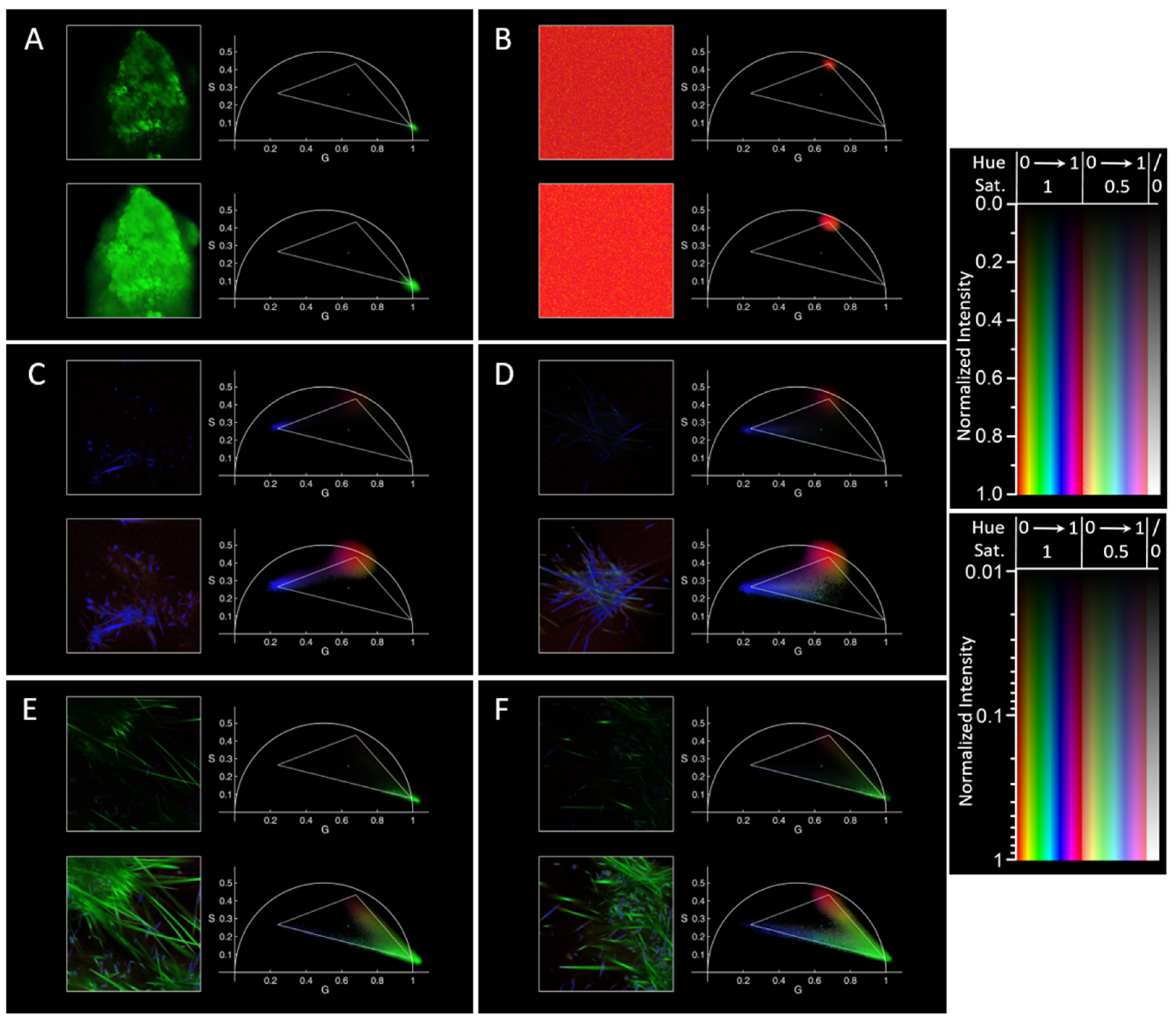 Molecules 29 02137 g001