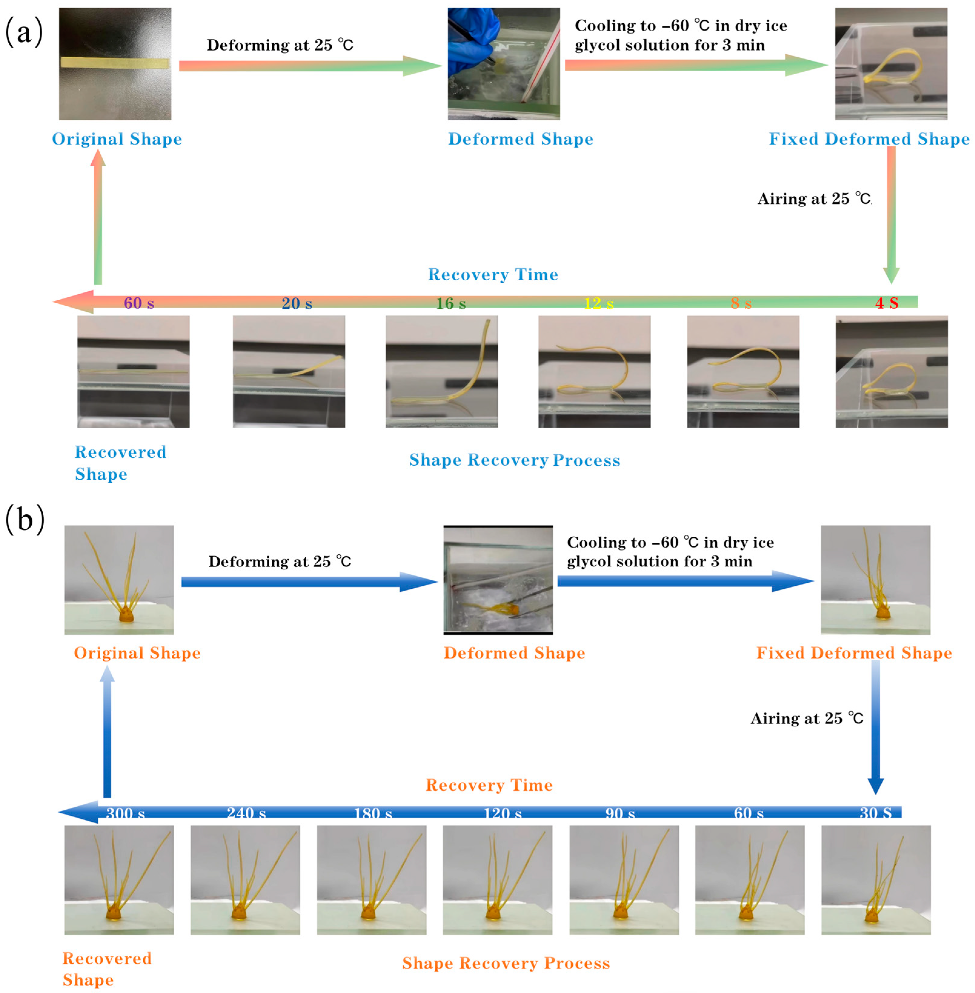 Molecules 29 02162 g005