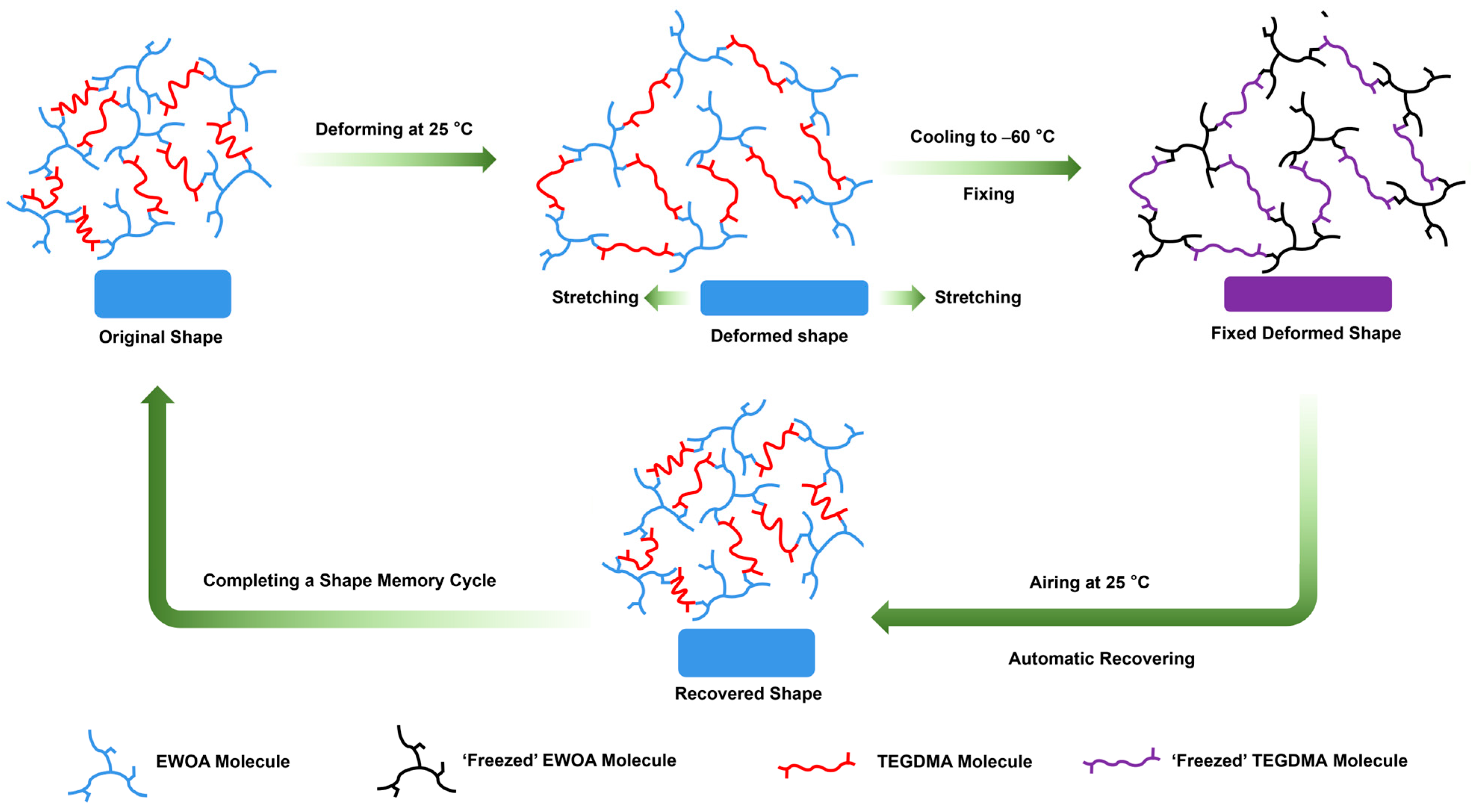 Molecules 29 02162 g007