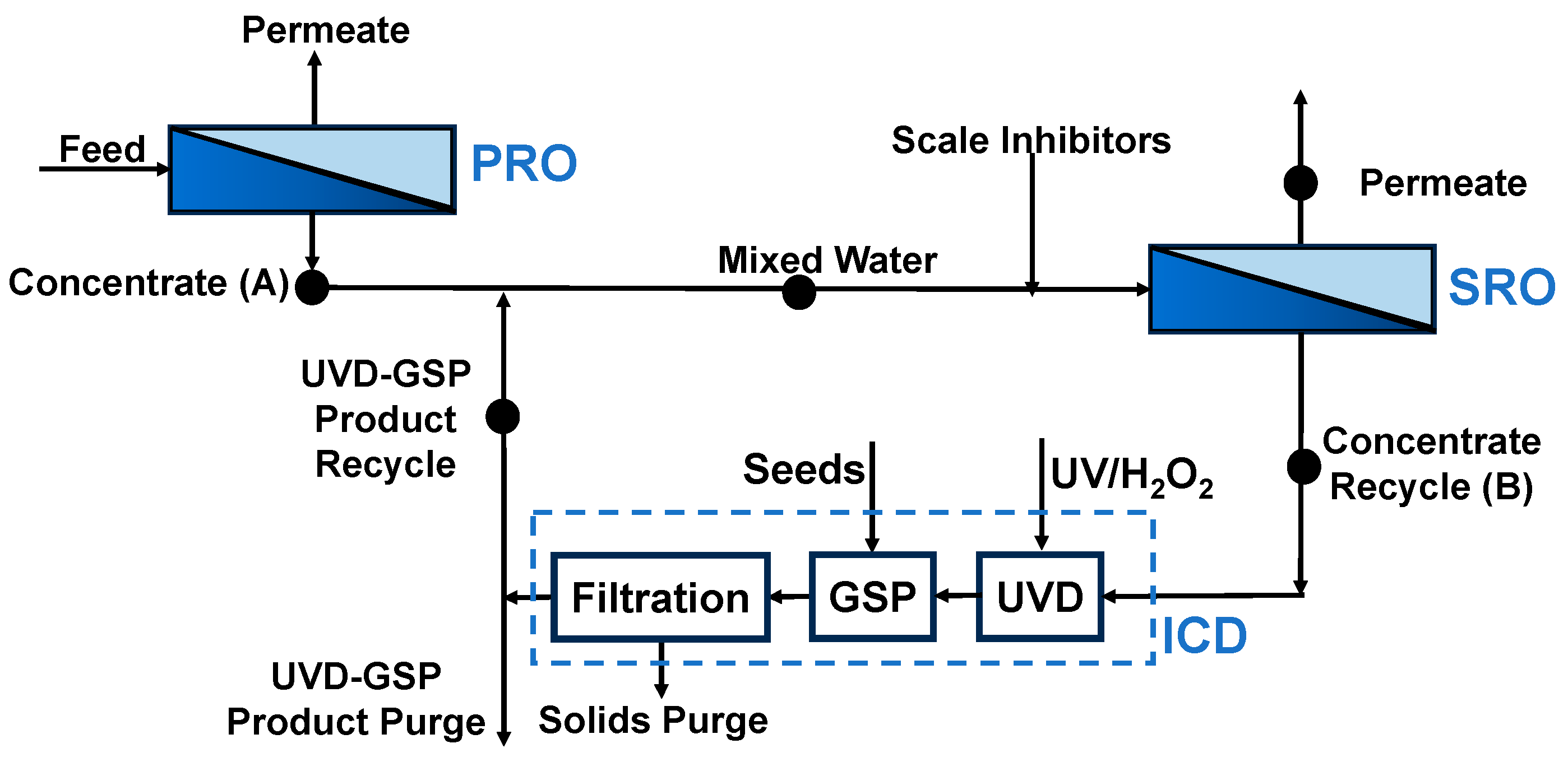 Molecules 29 02163 g001