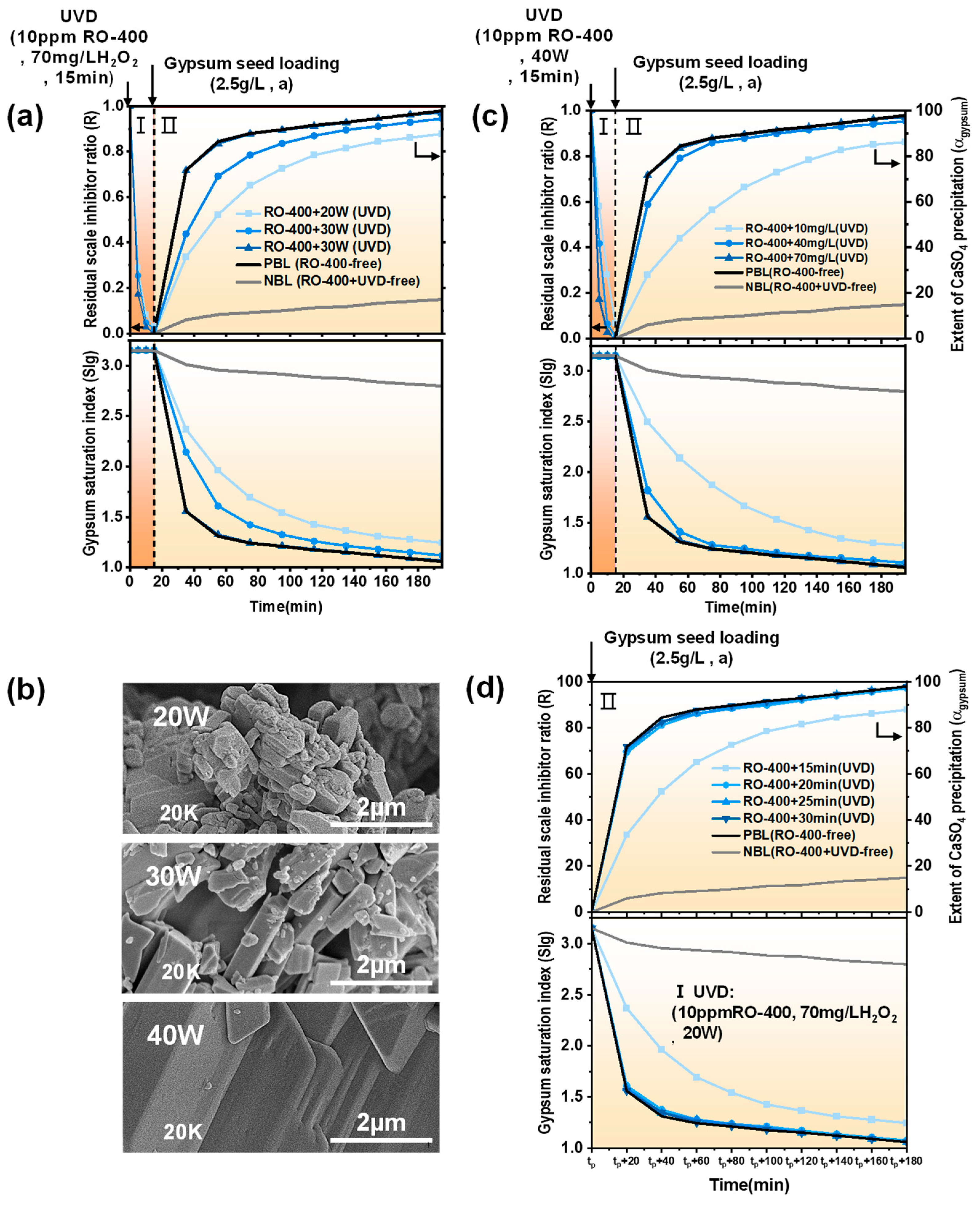 Molecules 29 02163 g004