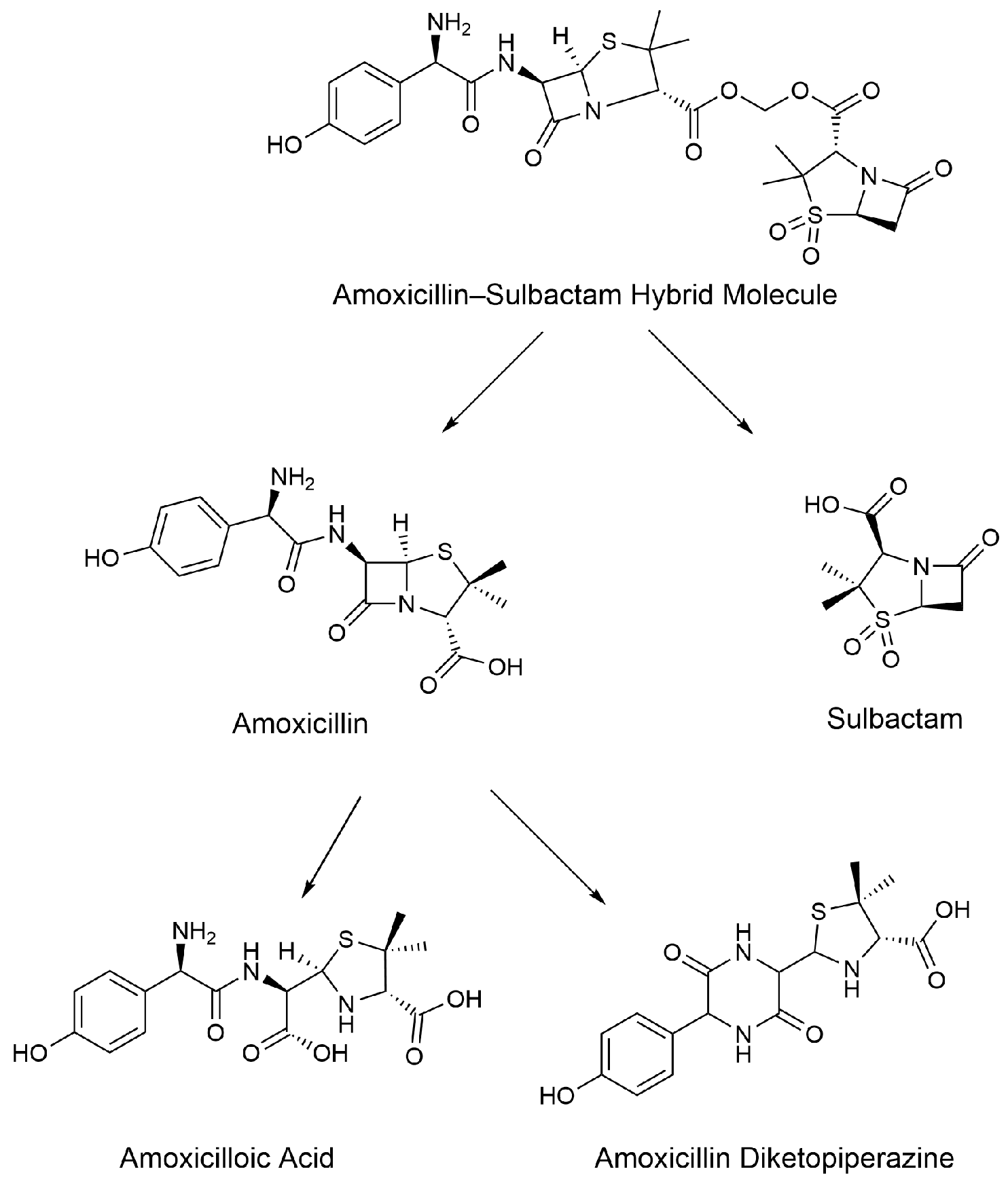 Molecules 29 02169 g001