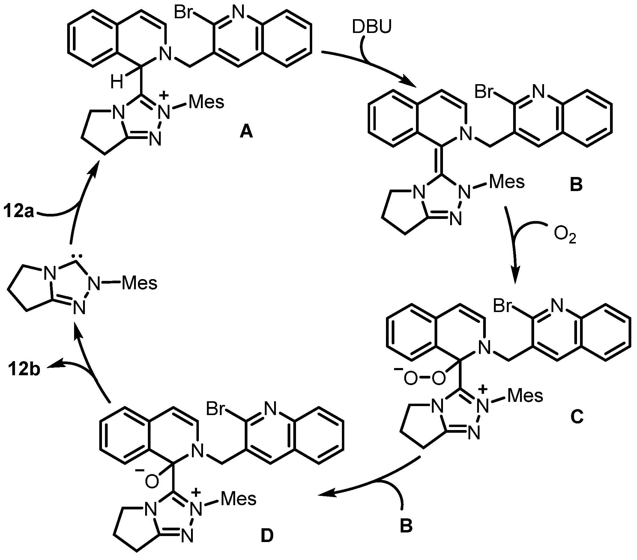 Molecules 29 02176 sch021 Molecules 29 02176 sch021
