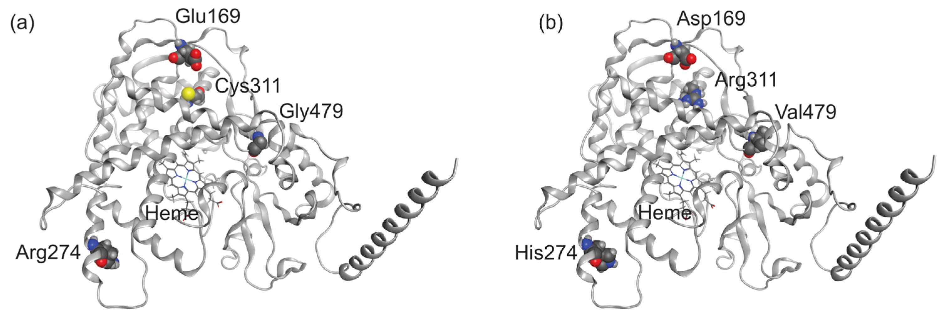 Molecules 29 02191 g003 Molecules 29 02191 g003
