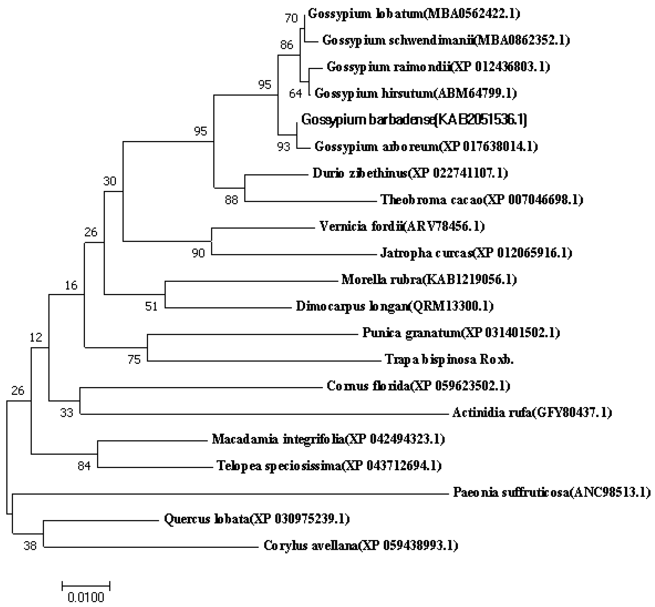 Molecules 29 02196 g006 Molecules 29 02196 g006
