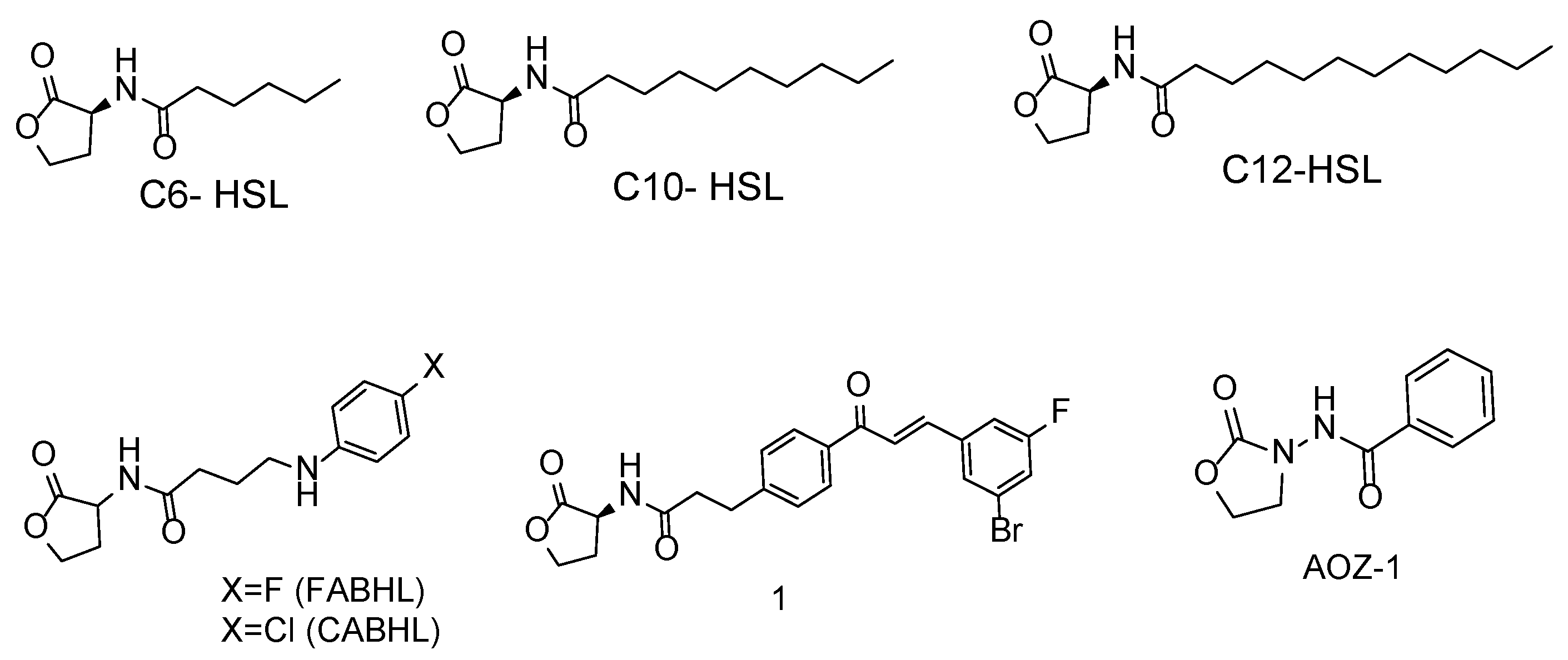 Molecules 29 02211 g002