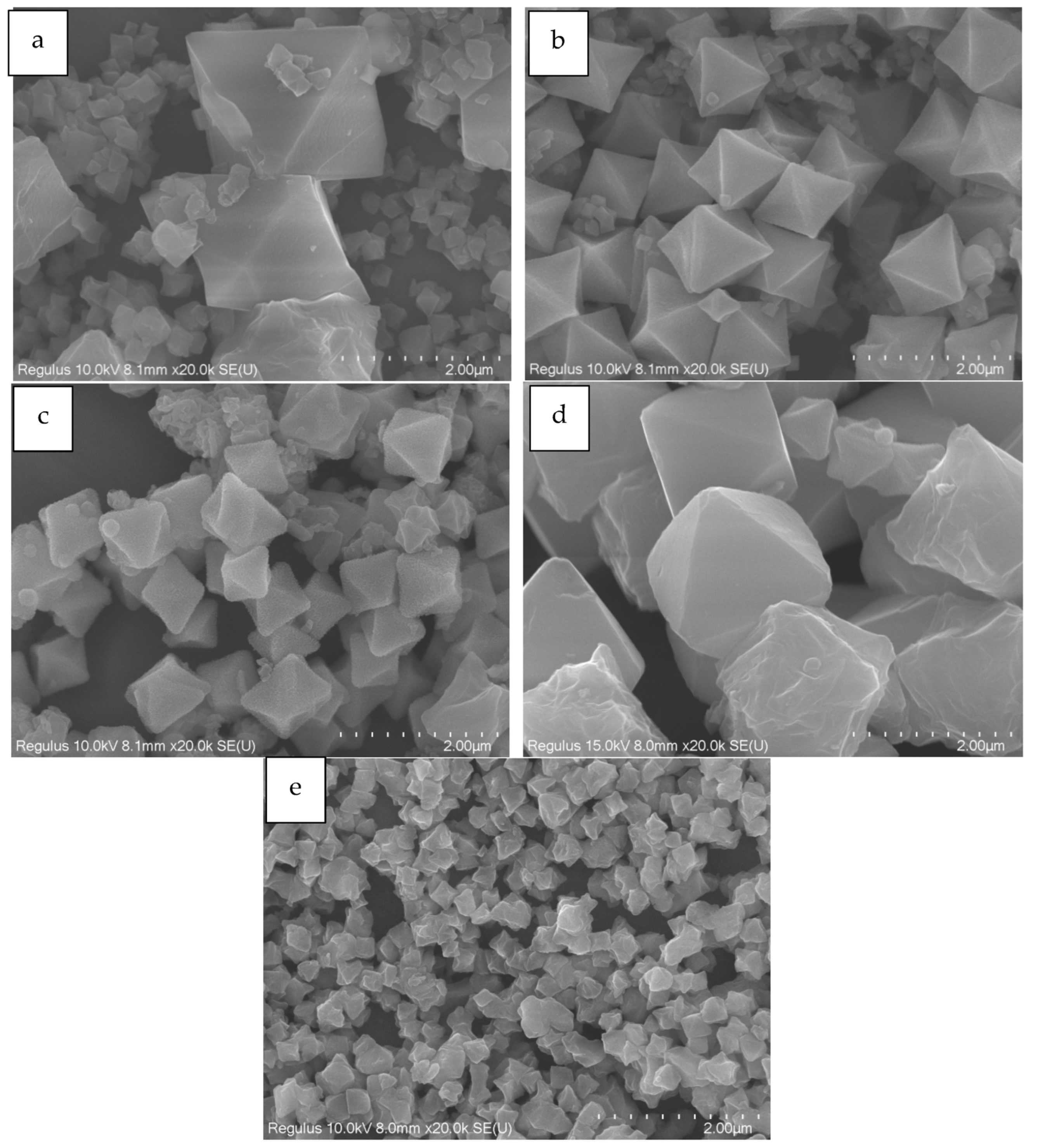 Molecules 29 02217 g001