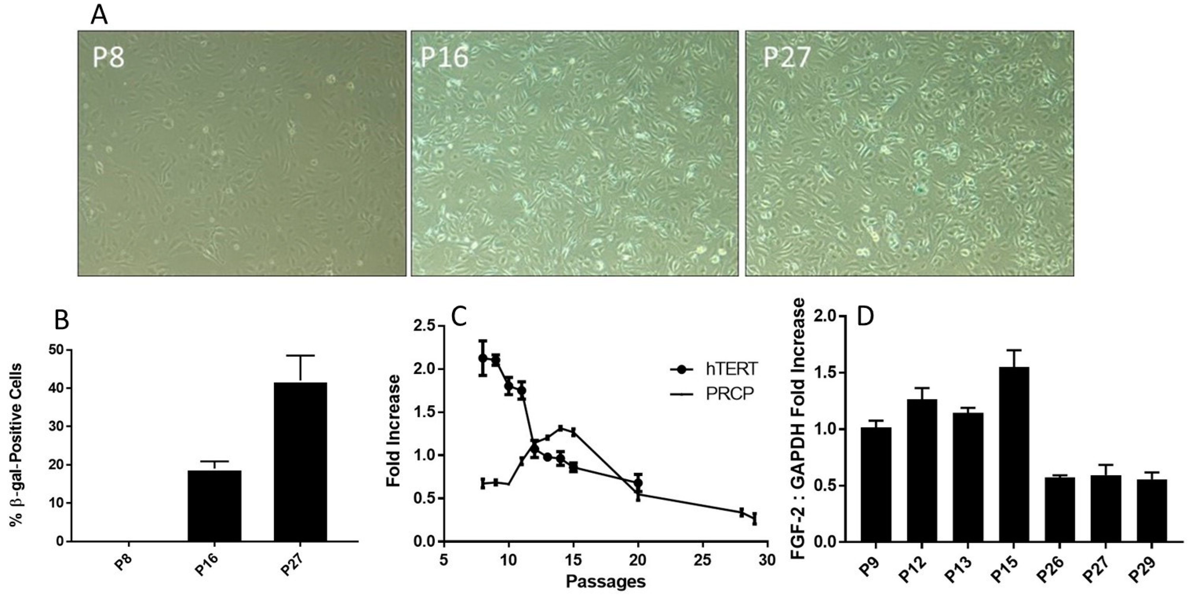 Molecules 29 02219 g004