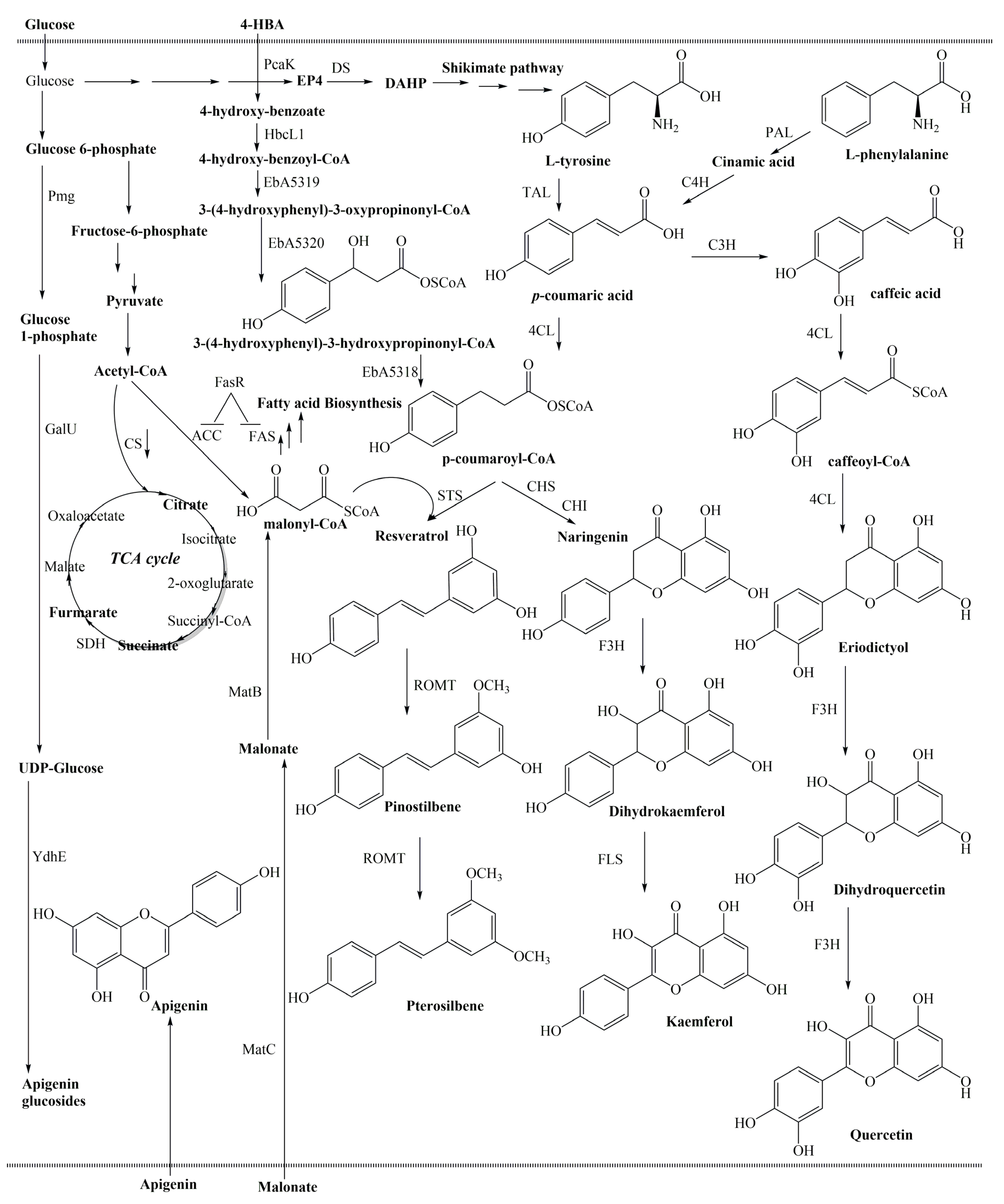 Molecules 29 02252 g005