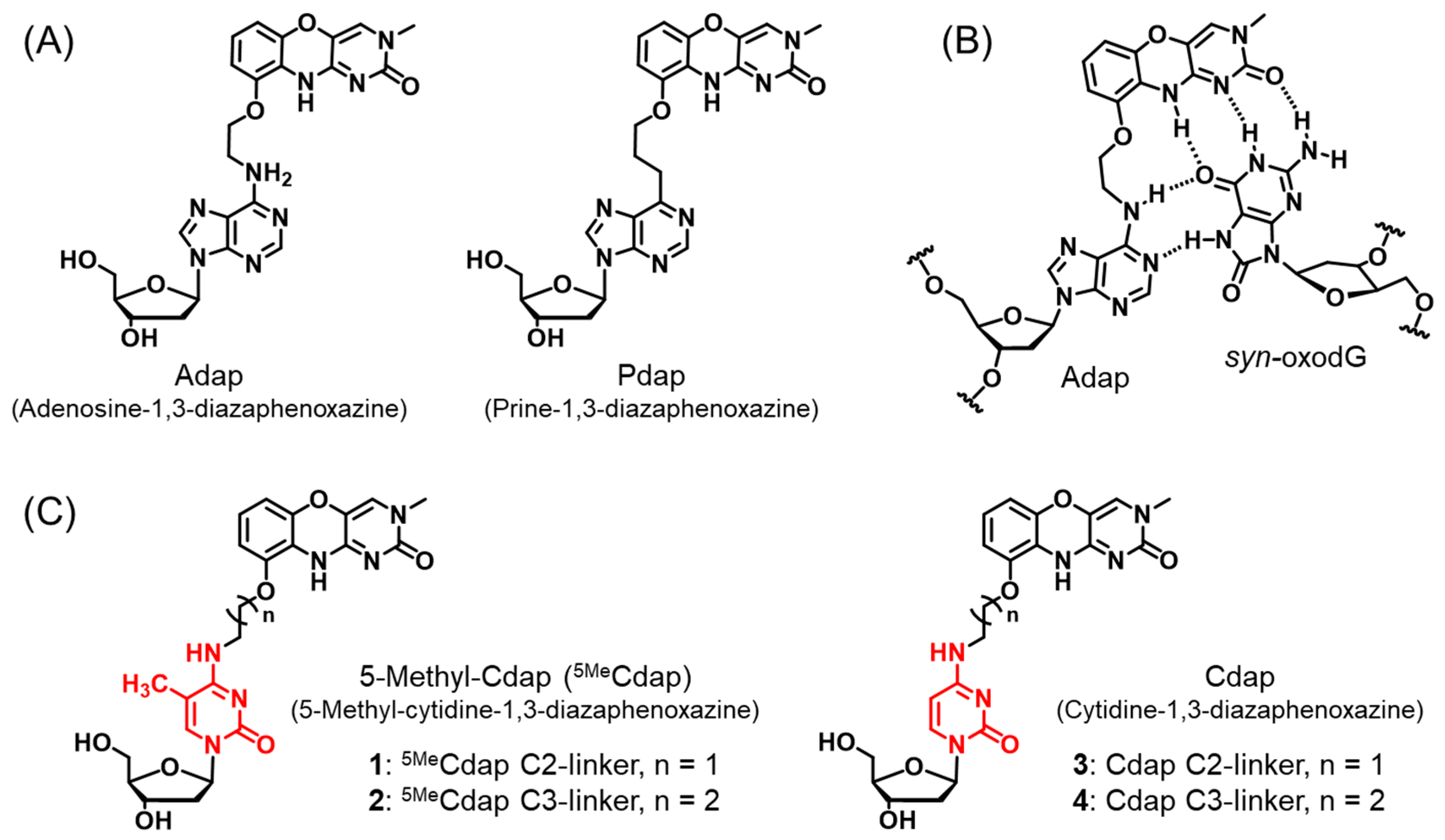 Molecules 29 02270 g001