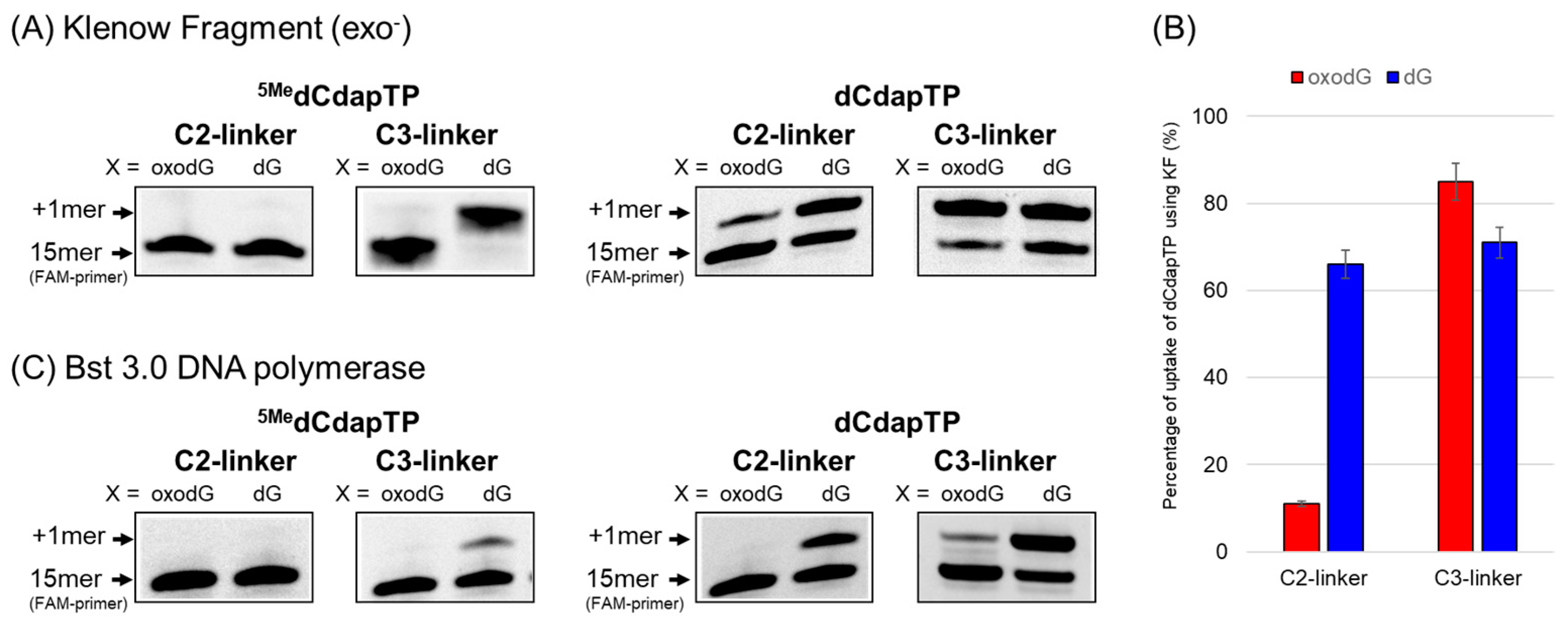 Molecules 29 02270 g002