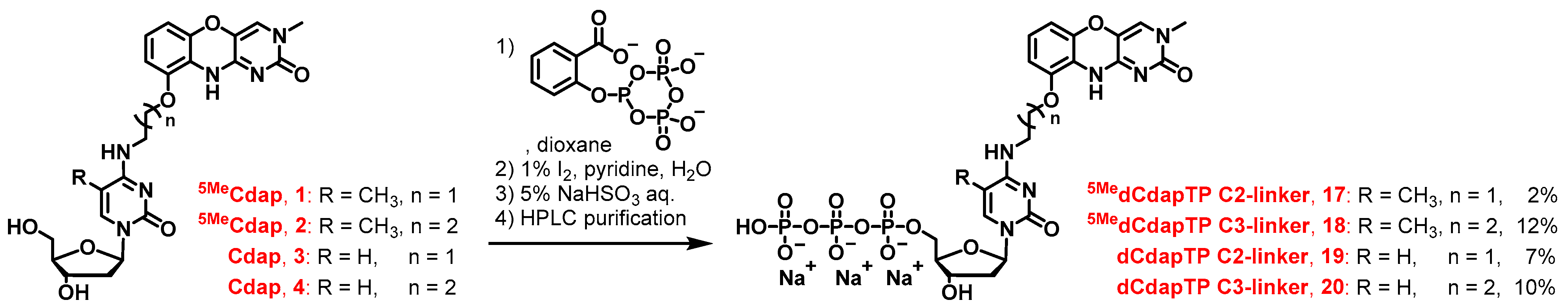 Molecules 29 02270 sch002