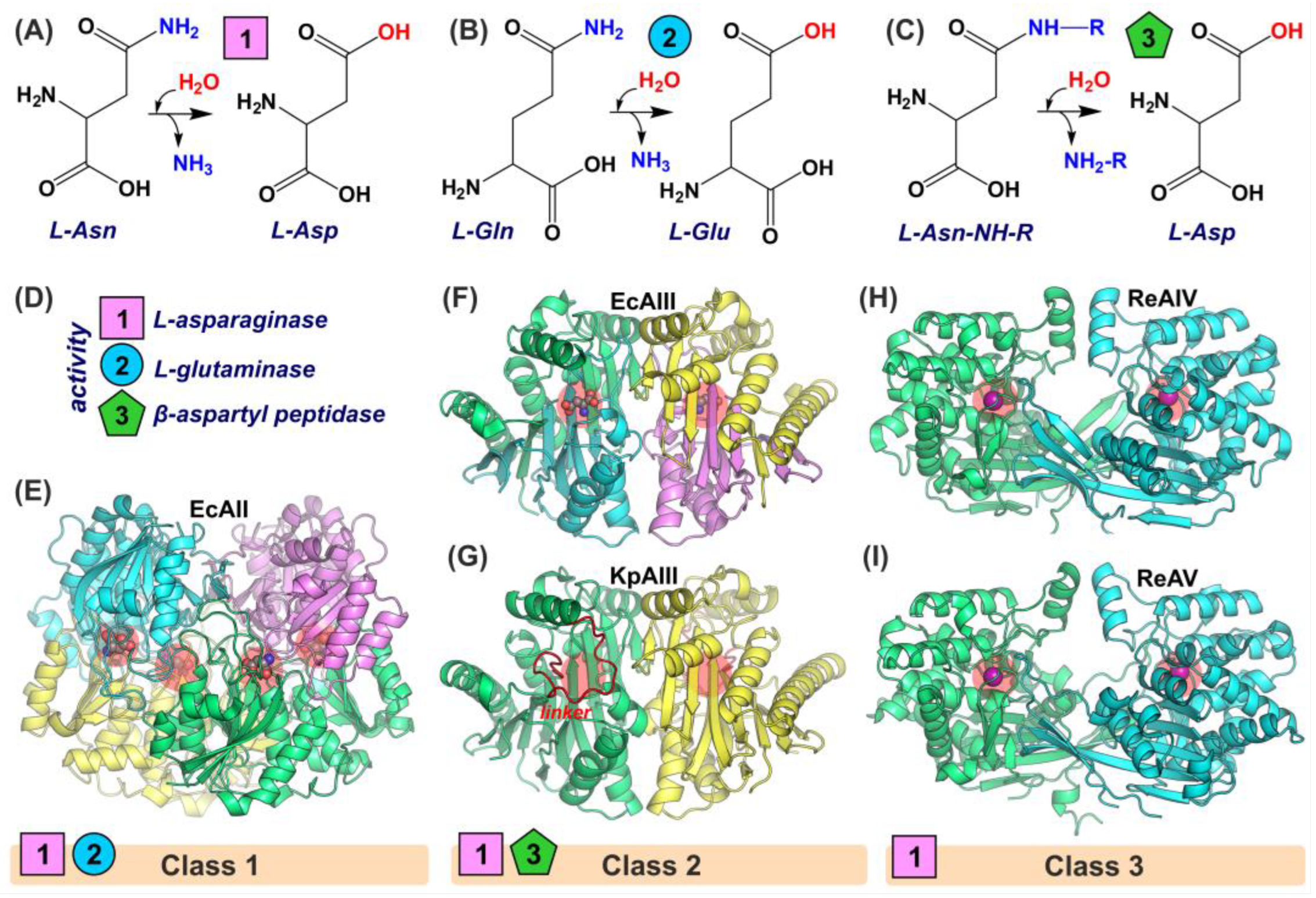 Molecules 29 02272 g001
