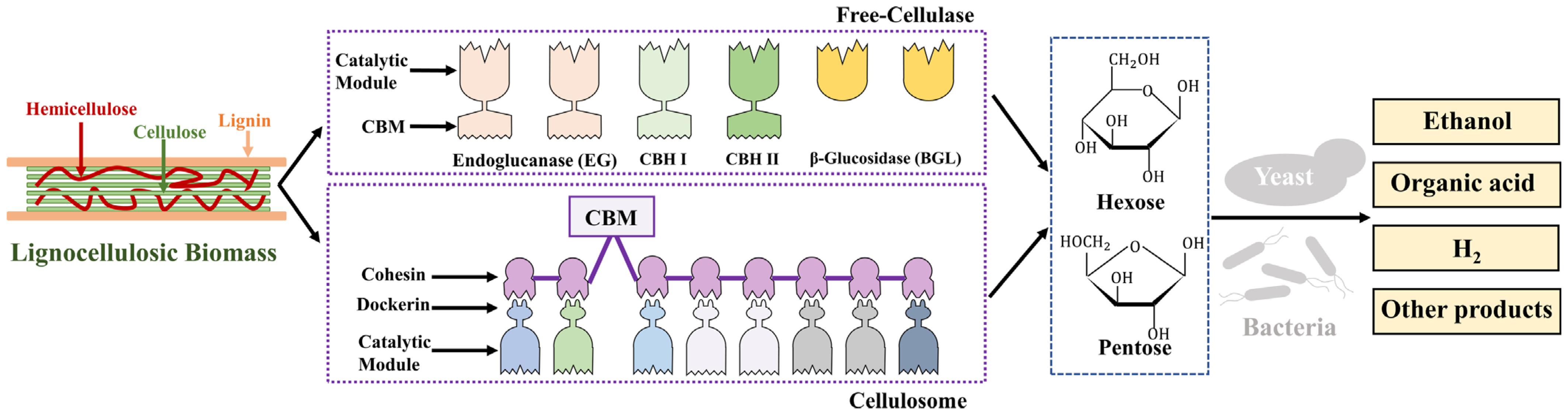 Molecules 29 02275 g002