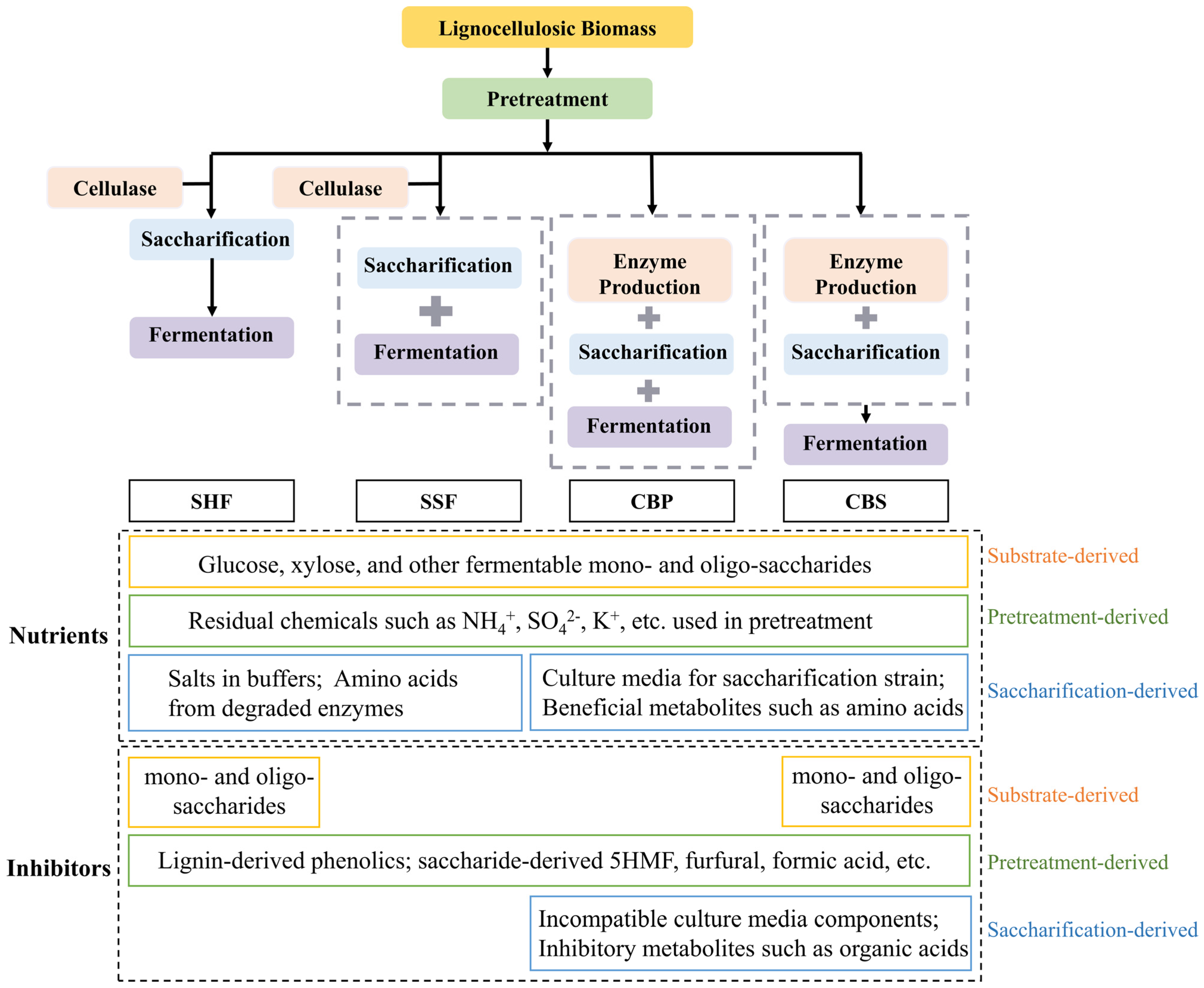 Molecules 29 02275 g003