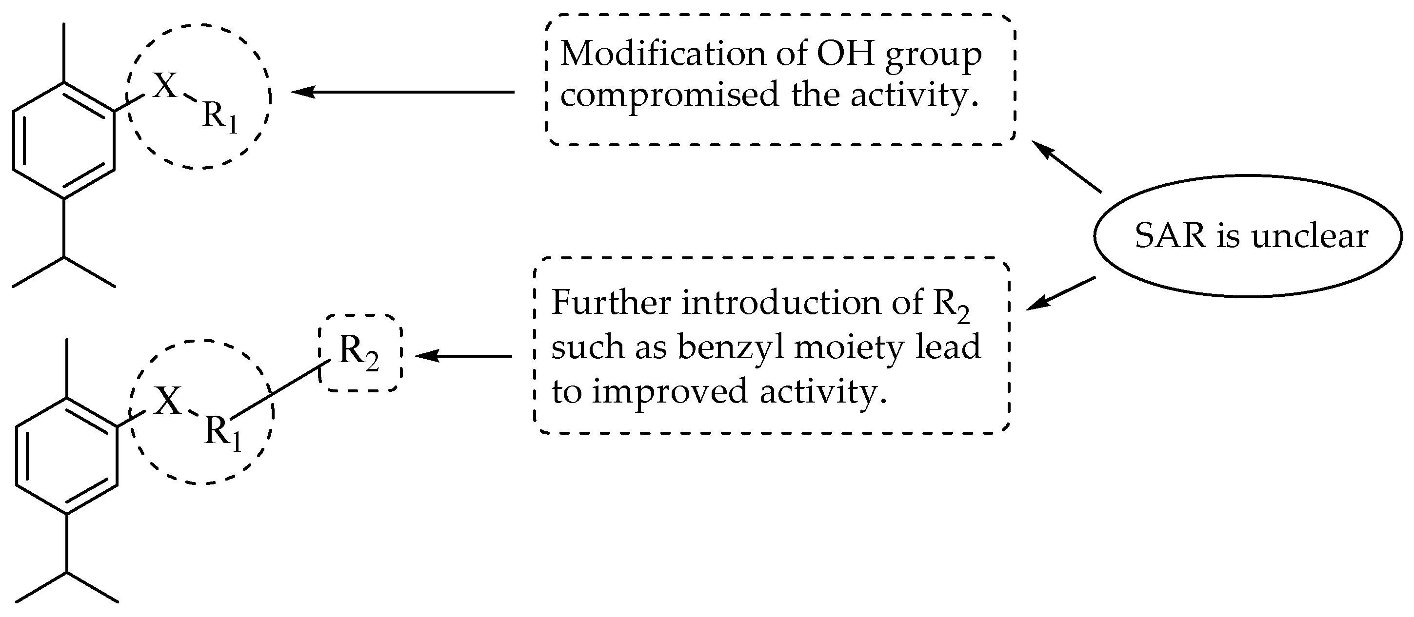 Molecules 29 02277 g008