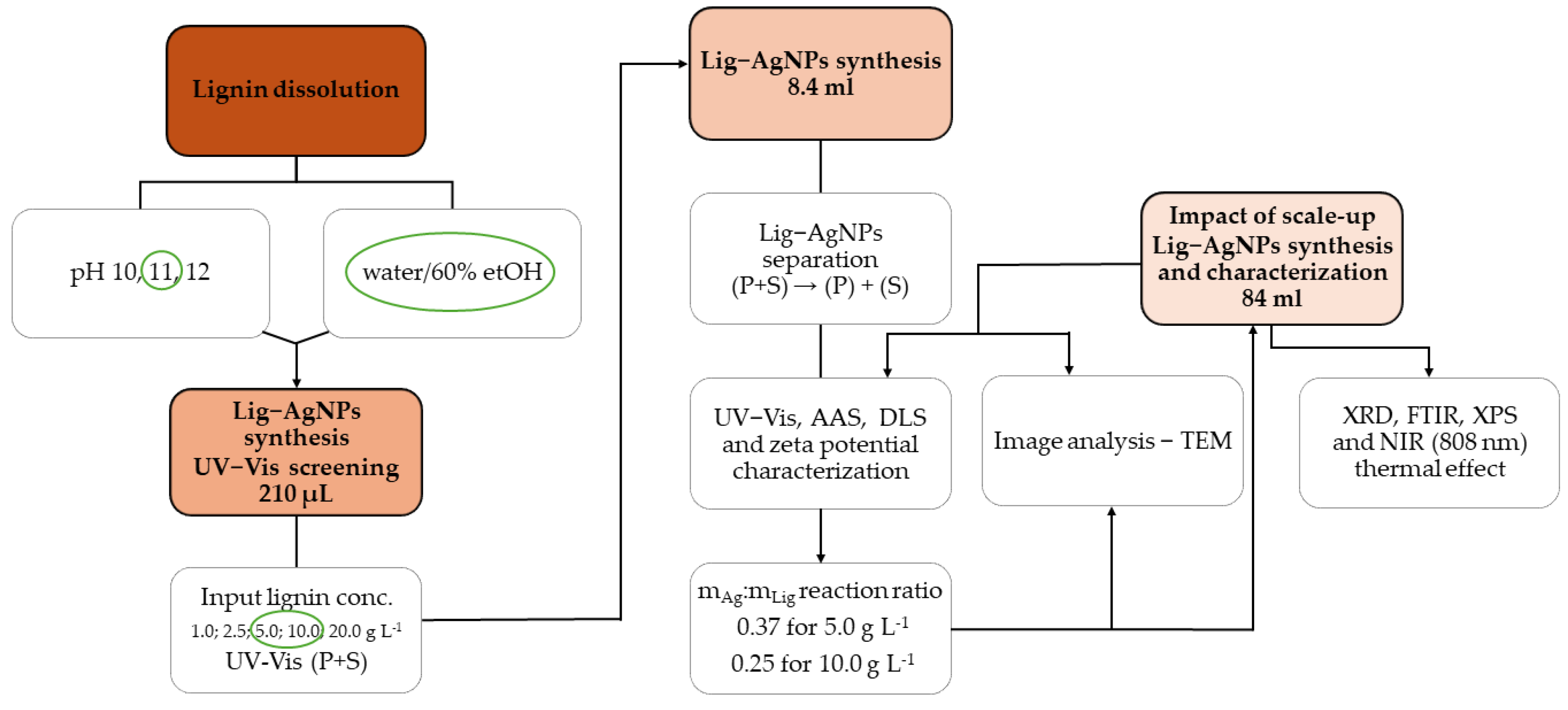 Molecules 29 02360 sch001