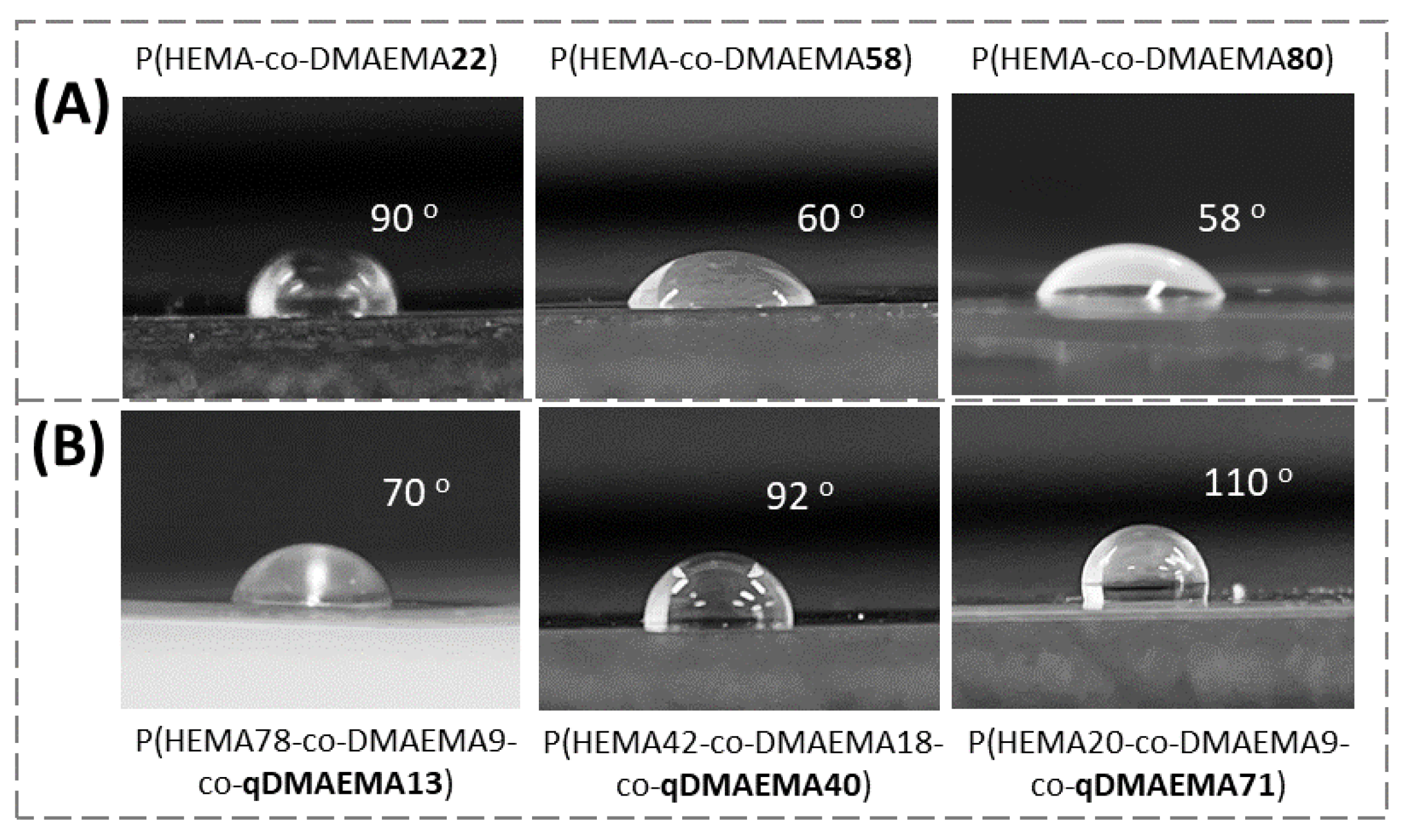 Molecules 29 02372 g005 Molecules 29 02372 g005