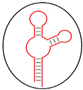 Perspectives In Aptasensor Based Portable Detection For Biotoxins