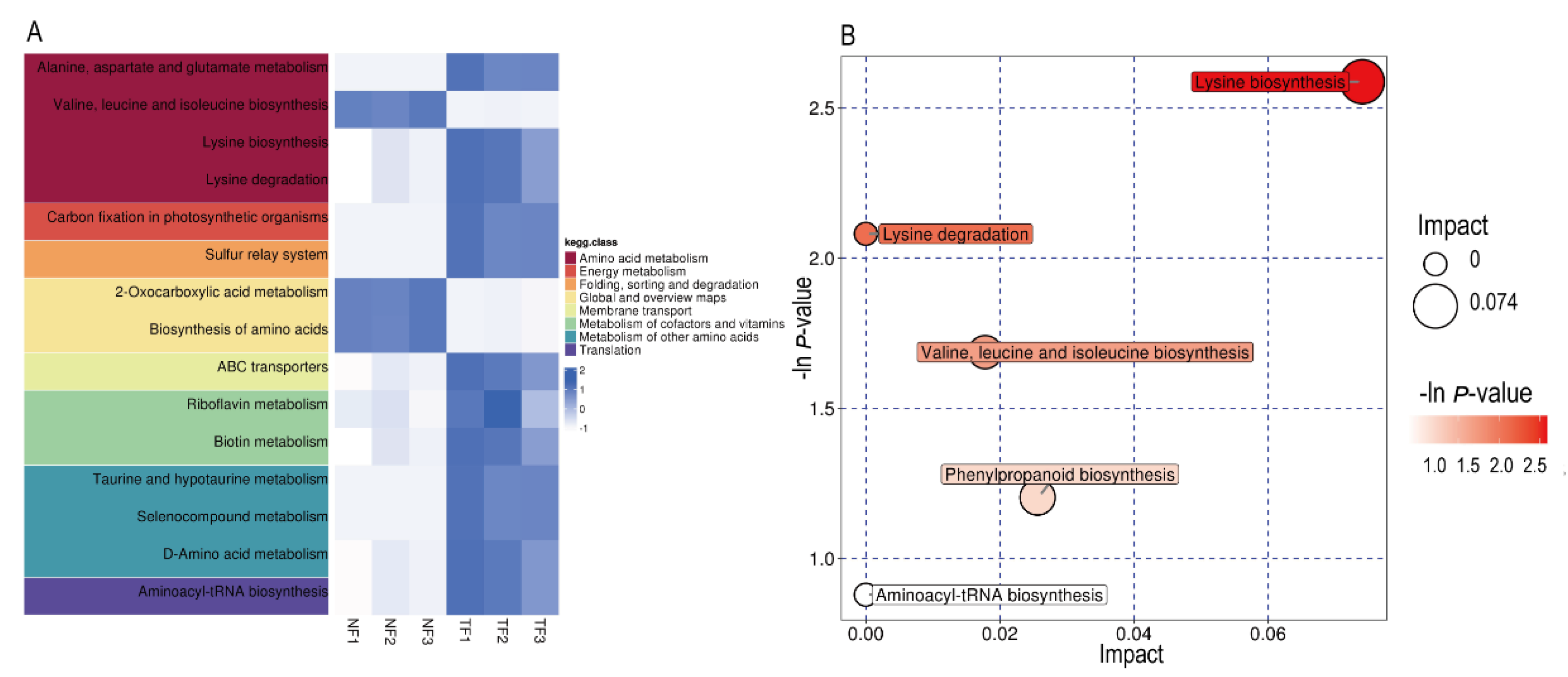 Molecules 29 05647 g003
