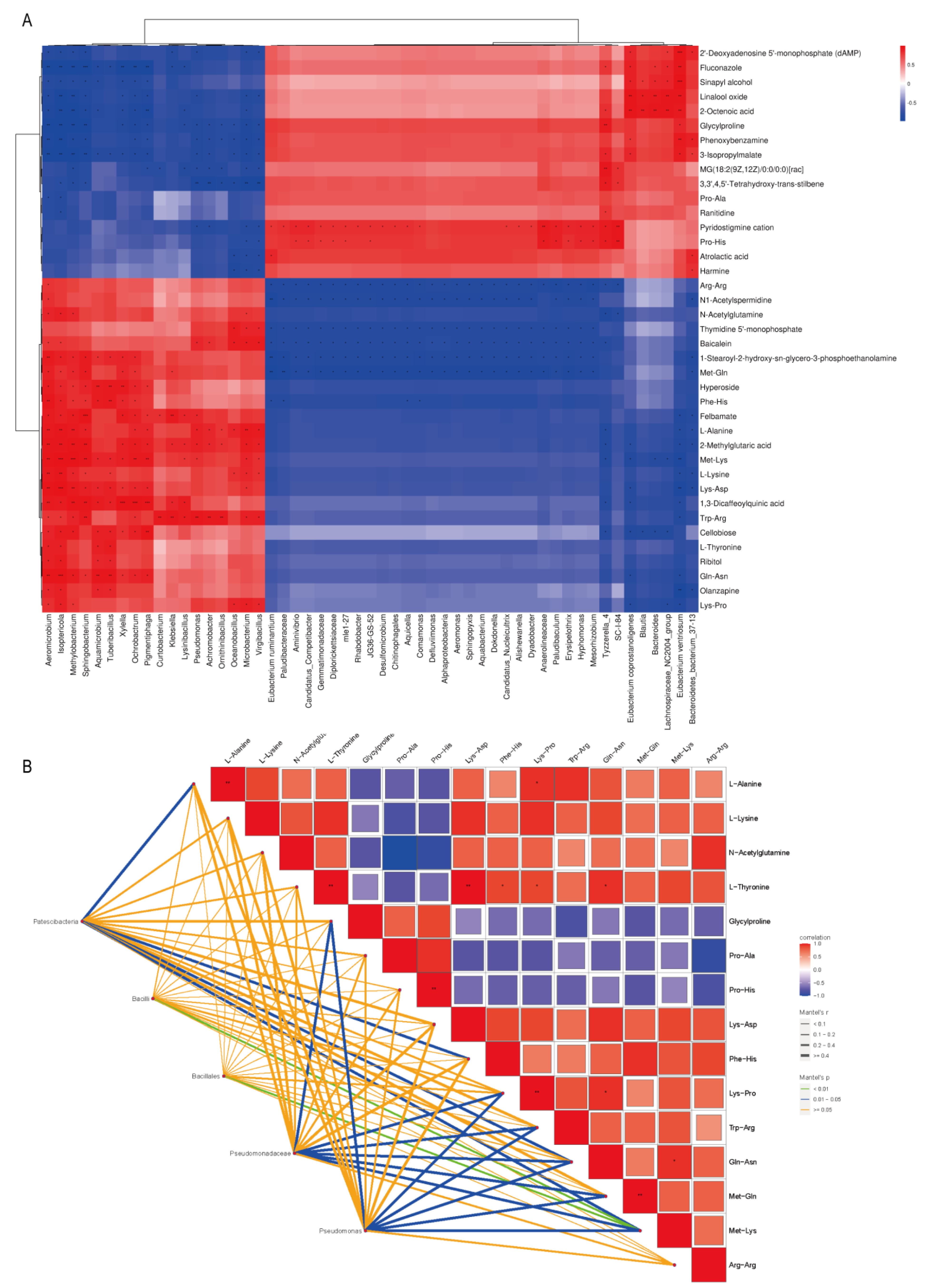 Molecules 29 05647 g006