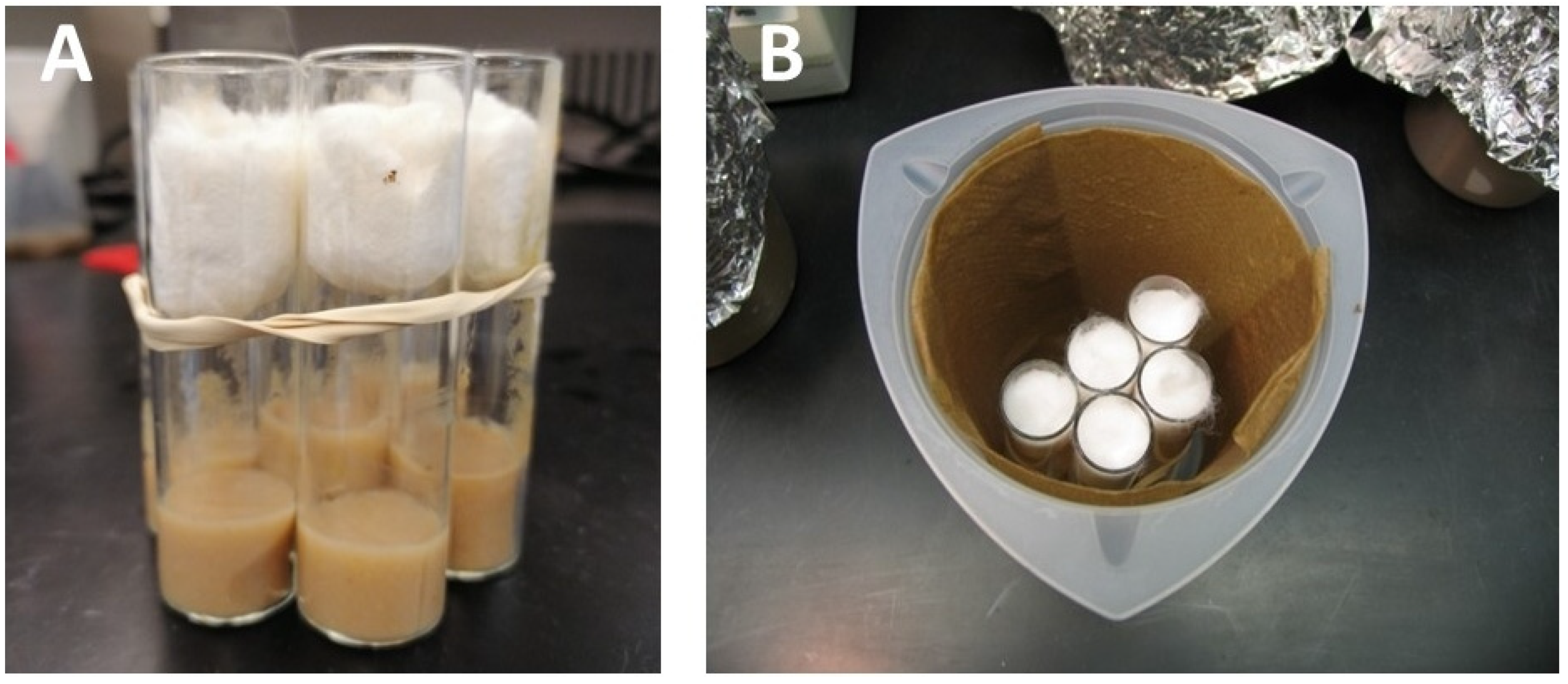 Mps 03 00031 g006 Mps 03 00031 g006