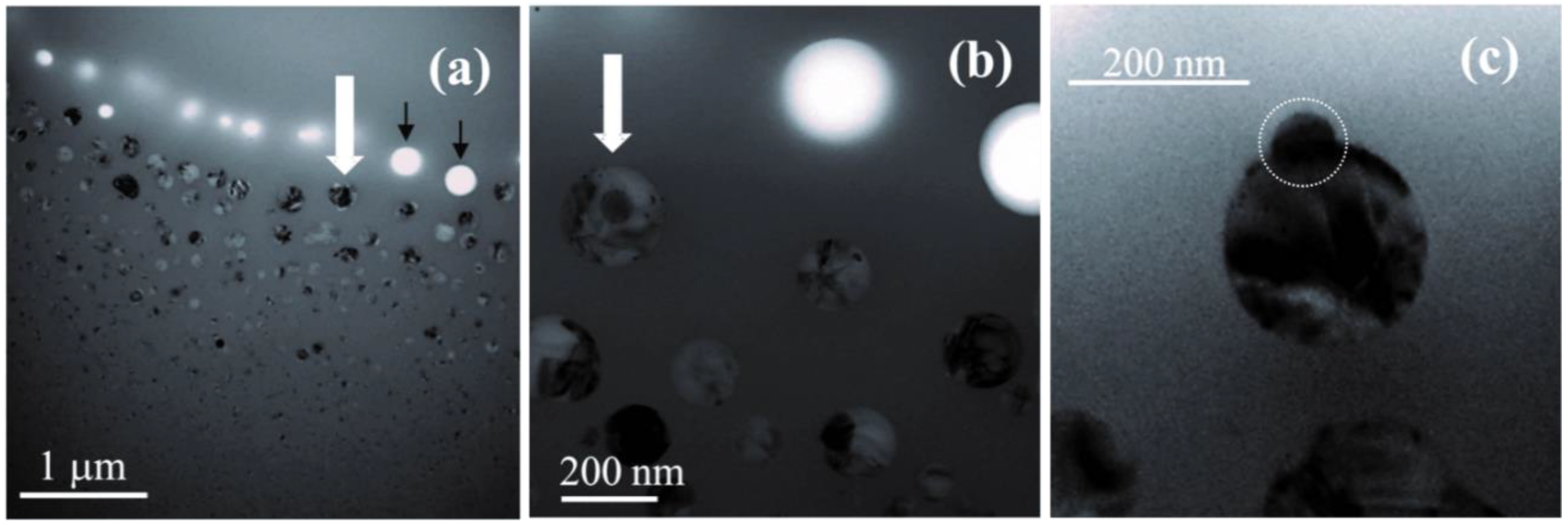 Nanomaterials 05 00614 g013