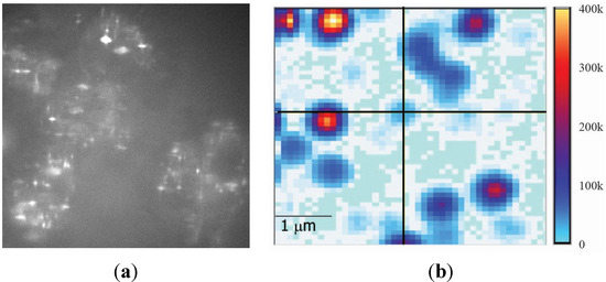 Emission Properties of Fluorescent Nanoparticles Determined by Their Optical Environment Emission Properties of Fluorescent Nanoparticles Determined by Their Optical Environment