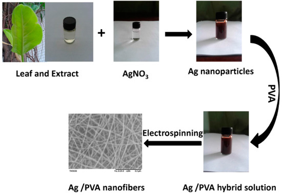 A Sustainable Approach to Fabricating Ag Nanoparticles-PVA Hybrid Nanofiber and Its Catalytic Activity A Sustainable Approach to Fabricating Ag Nanoparticles-PVA Hybrid Nanofiber and Its Catalytic Activity