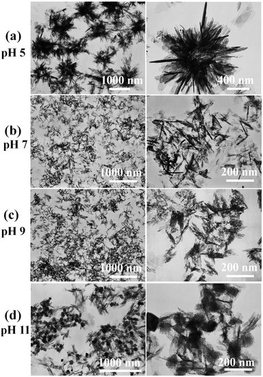 Microwave-Assisted Hydrothermal Rapid Synthesis of Calcium Phosphates: Structural Control and Application in Protein Adsorption Microwave-Assisted Hydrothermal Rapid Synthesis of Calcium Phosphates: Structural Control and Application in Protein Adsorption