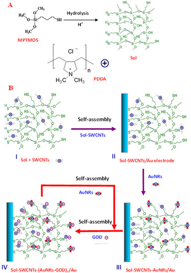Layer-by-Layer Self-Assembling Gold Nanorods and Glucose Oxidase onto Carbon Nanotubes Functionalized Sol-Gel Matrix for an Amperometric Glucose Biosensor Layer-by-Layer Self-Assembling Gold Nanorods and Glucose Oxidase onto Carbon Nanotubes Functionalized Sol-Gel Matrix for an Amperometric Glucose Biosensor