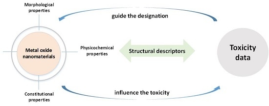 Metal Oxide Nanomaterial QNAR Models: Available Structural Descriptors and Understanding of Toxicity Mechanisms Metal Oxide Nanomaterial QNAR Models: Available Structural Descriptors and Understanding of Toxicity Mechanisms