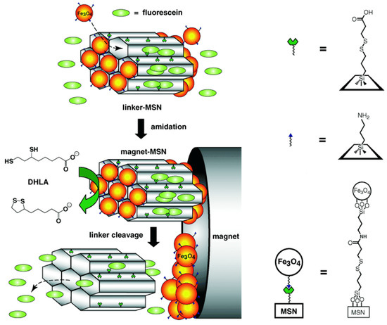 Recent Advance on Mesoporous Silica Nanoparticles-Based Controlled Release System: Intelligent Switches Open up New Horizon Recent Advance on Mesoporous Silica Nanoparticles-Based Controlled Release System: Intelligent Switches Open up New Horizon