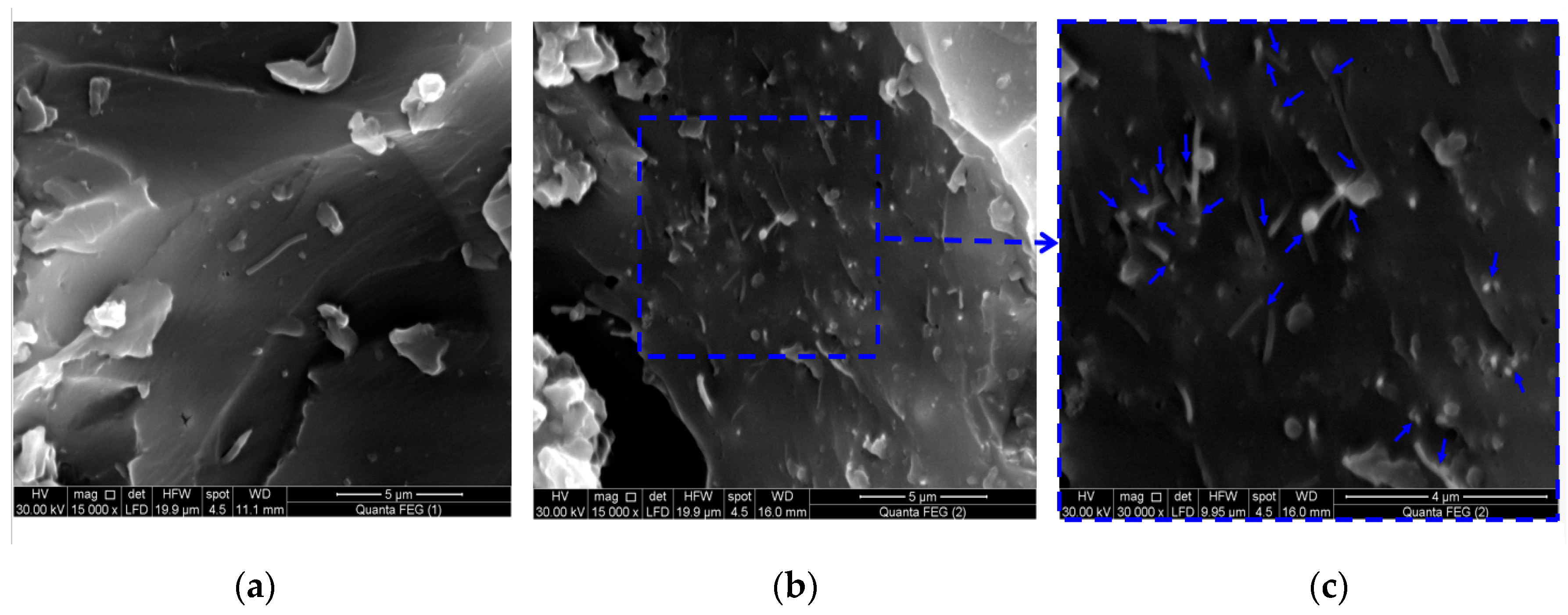 Nanomaterials 06 00169 g009