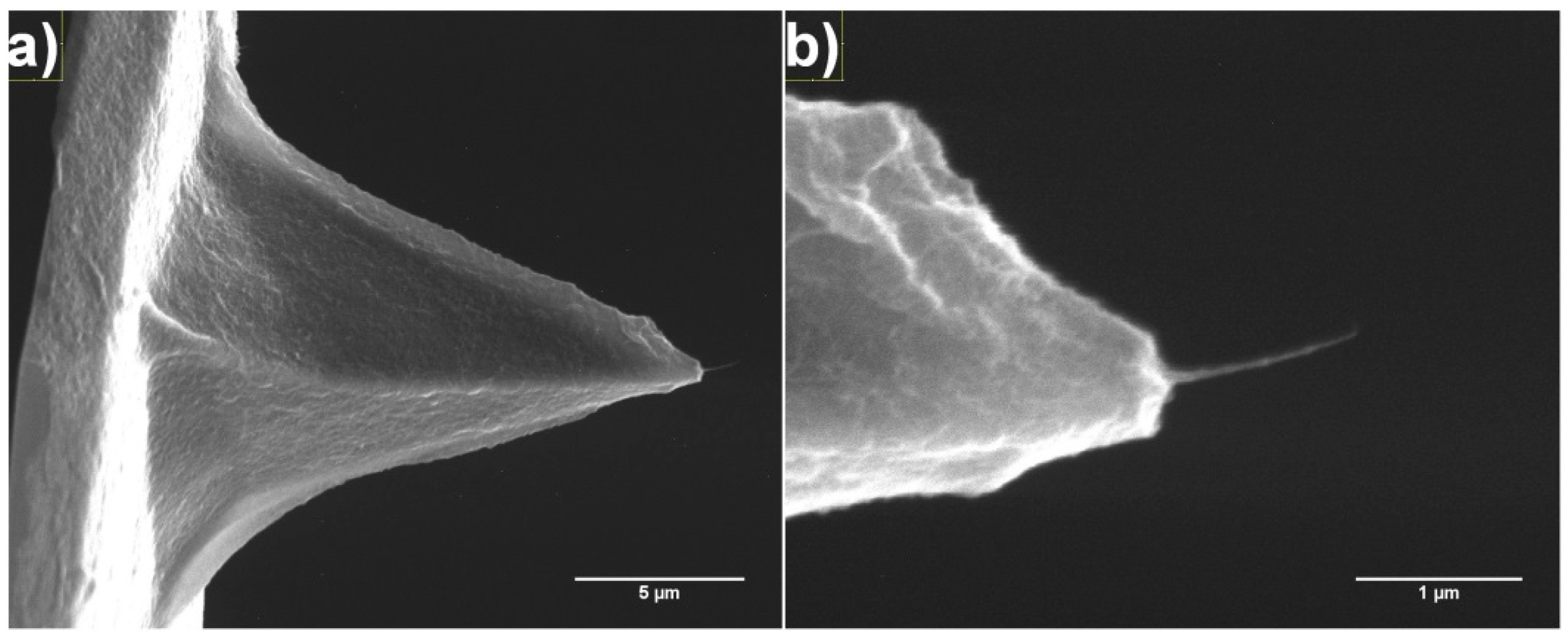 Nanomaterials 07 00346 g006