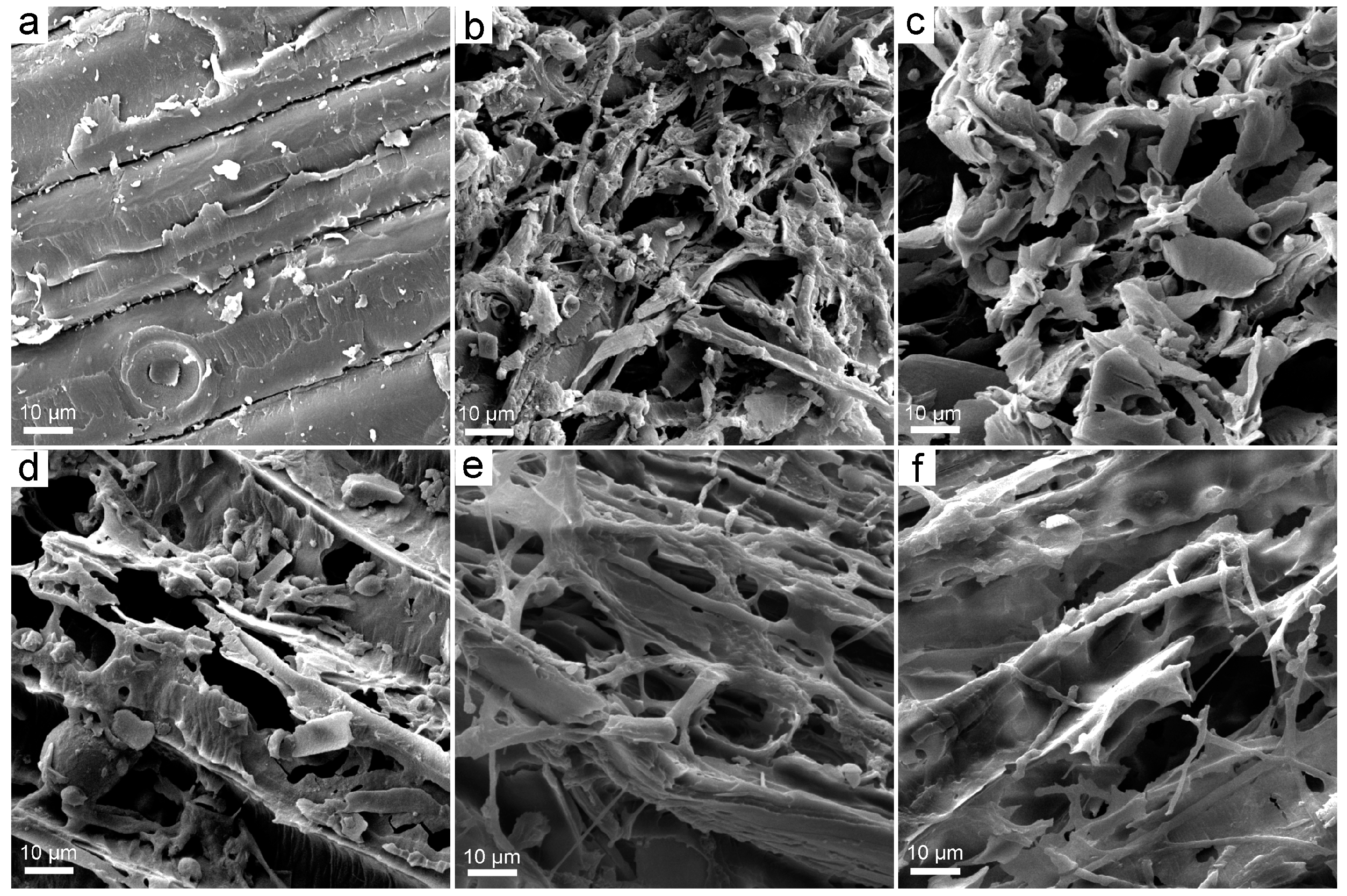 Nanomaterials 08 00120 g007