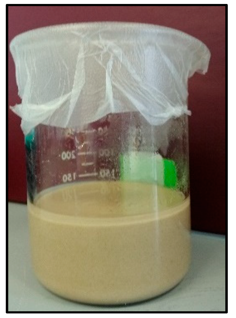 Nanomaterials 08 00547 g005