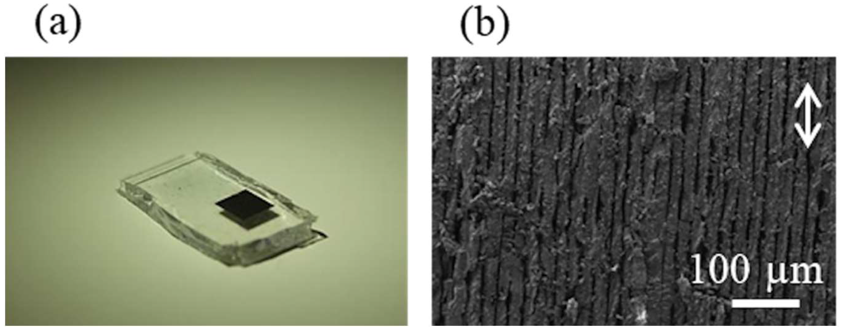 Nanomaterials Free FullText Femtosecond LaserBased Modification