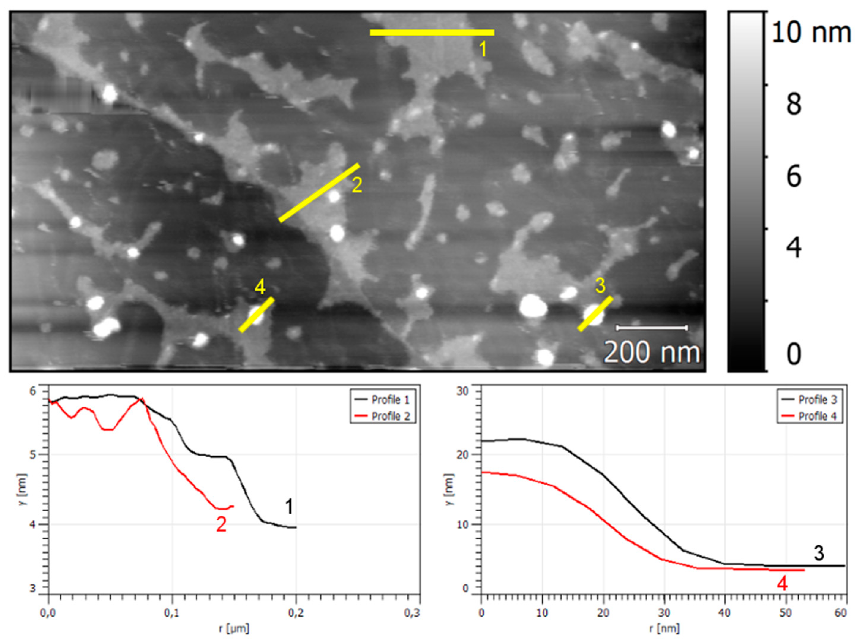 Nanomaterials 08 00668 g010