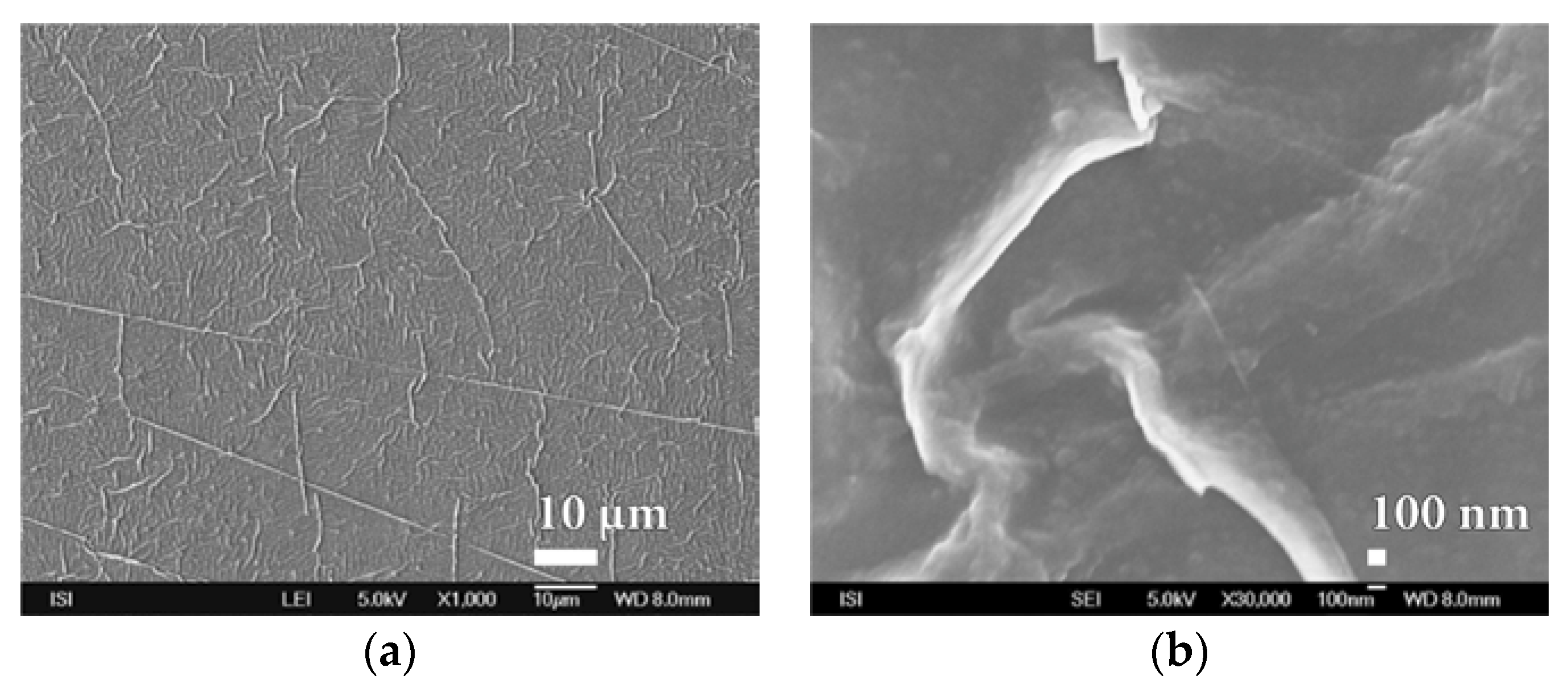 Nanomaterials 08 00679 g009