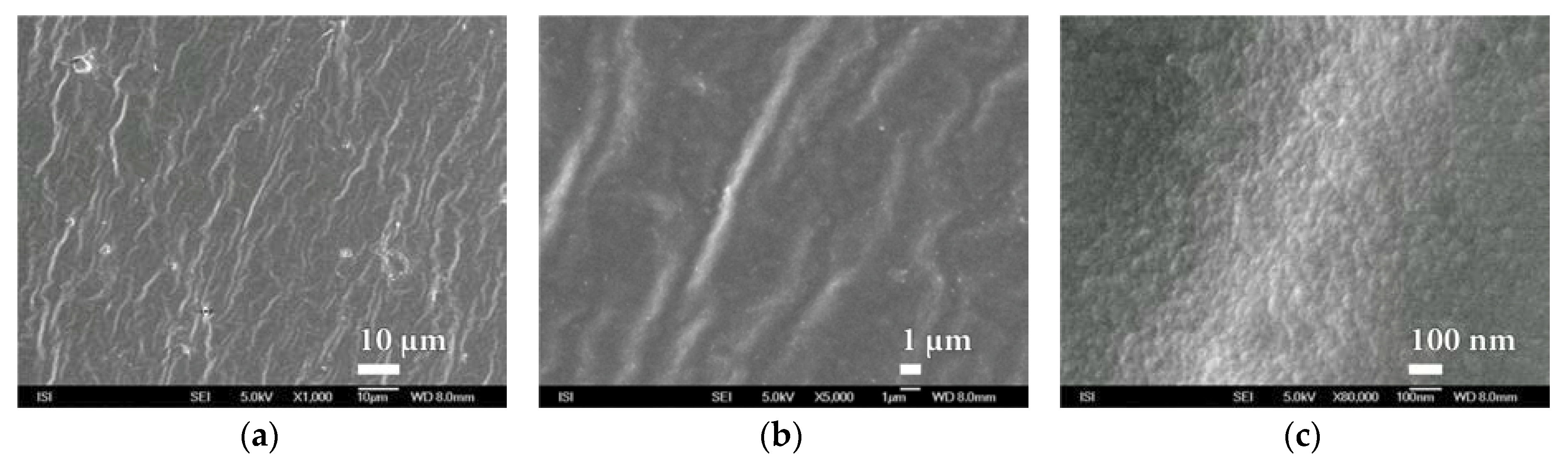 Nanomaterials 08 00679 g016