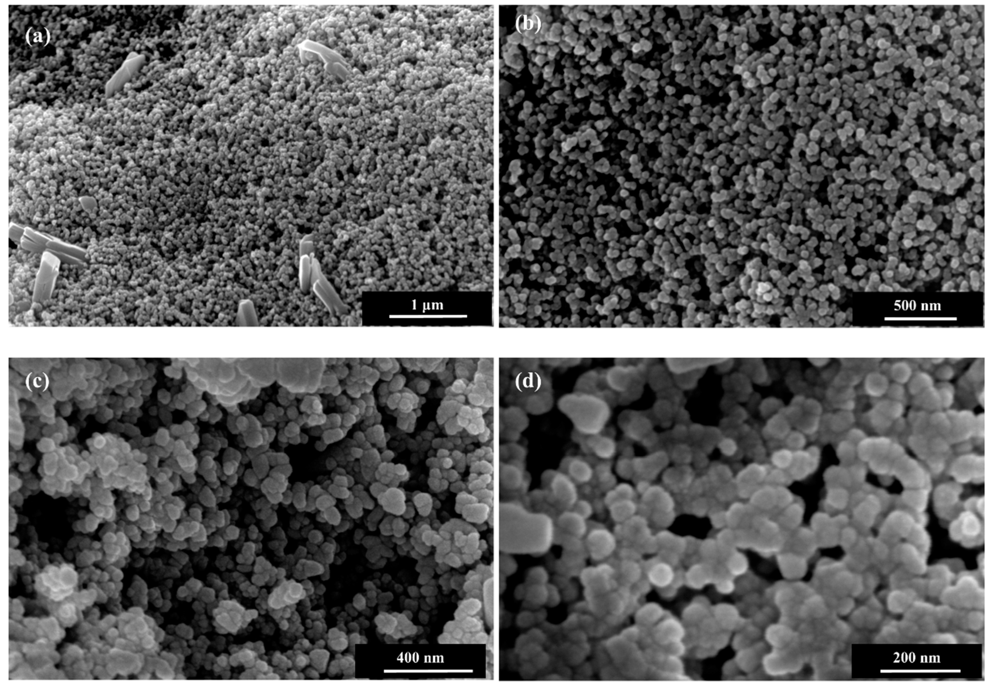 Nanomaterials 08 00717 g004