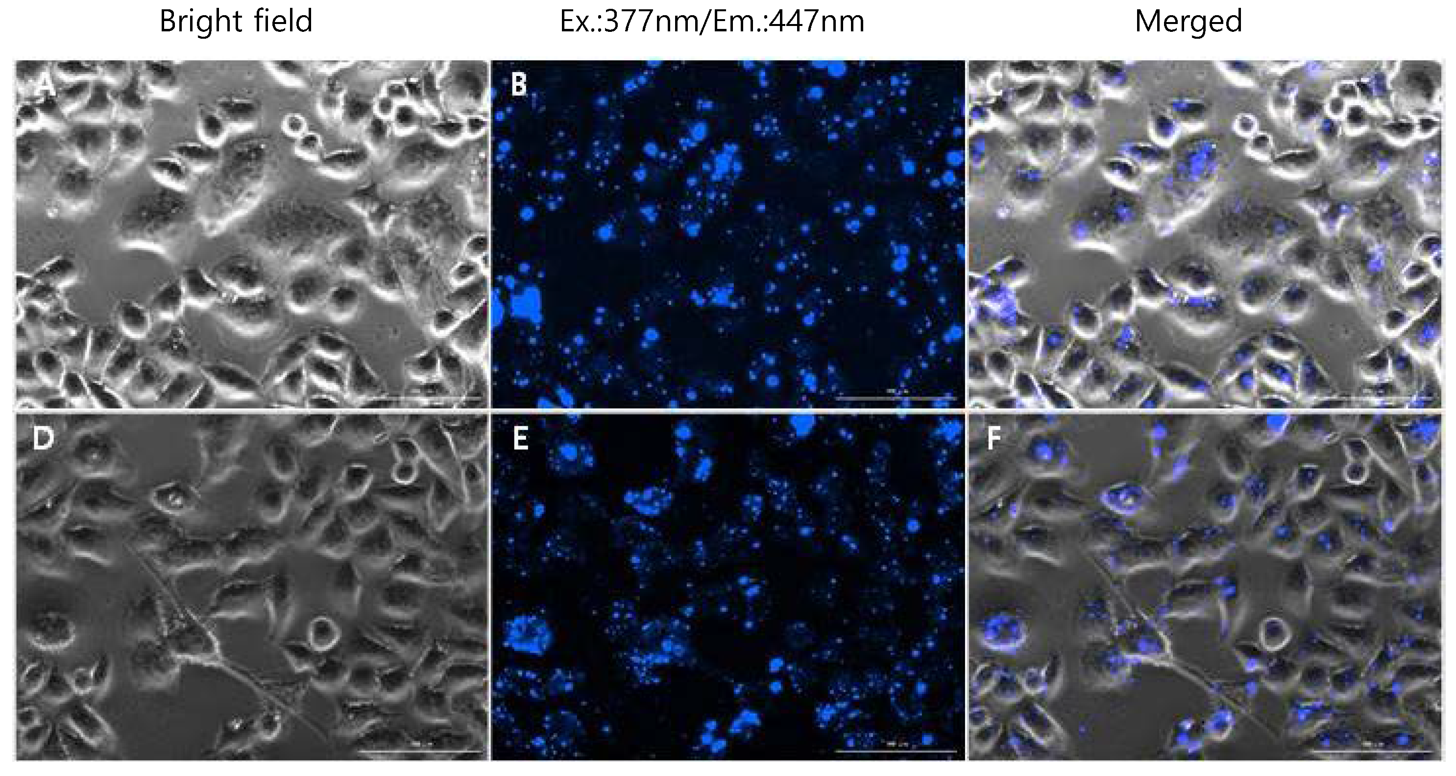 Nanomaterials 08 00728 g008