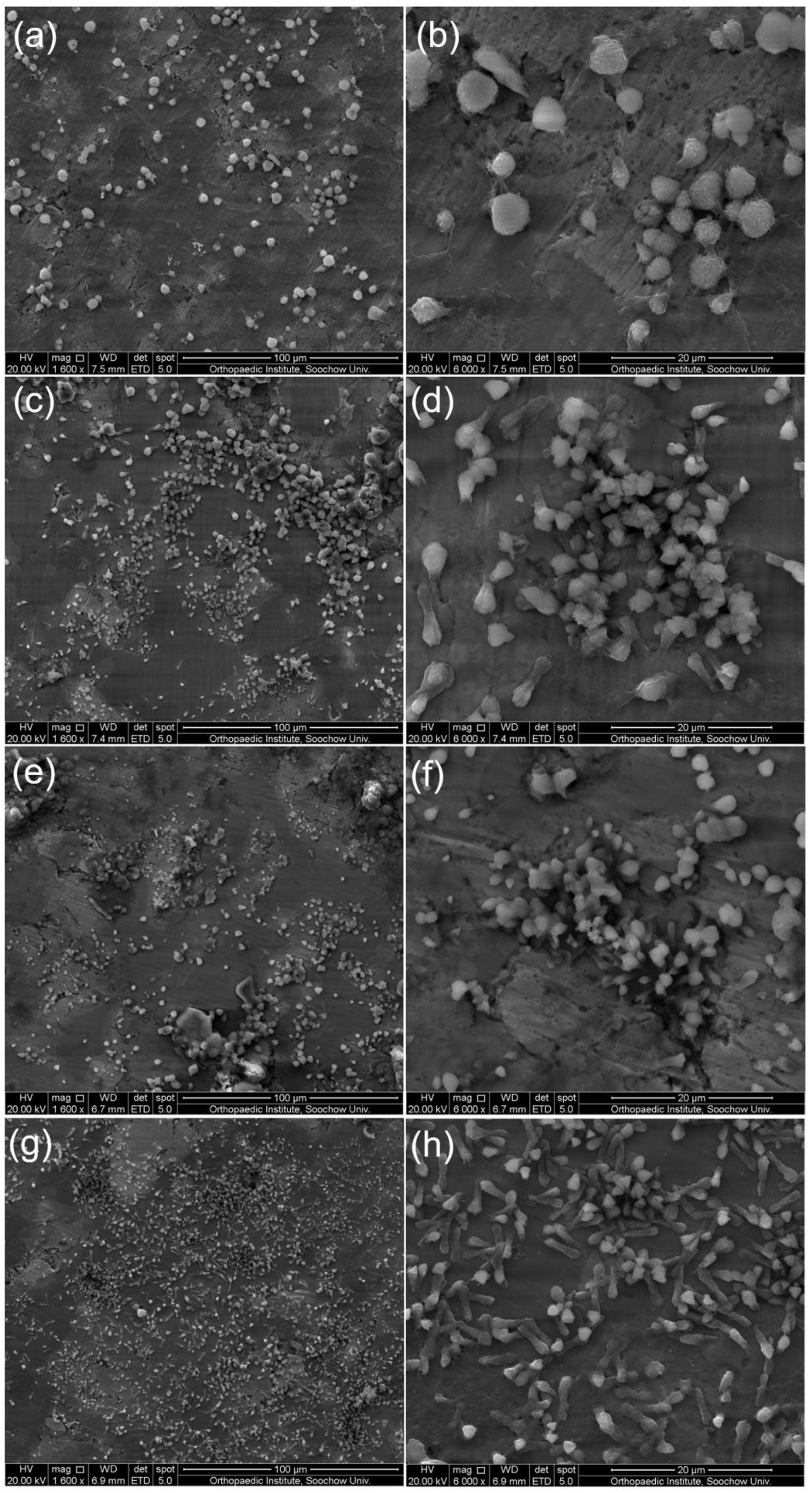 Nanomaterials 08 00729 g012