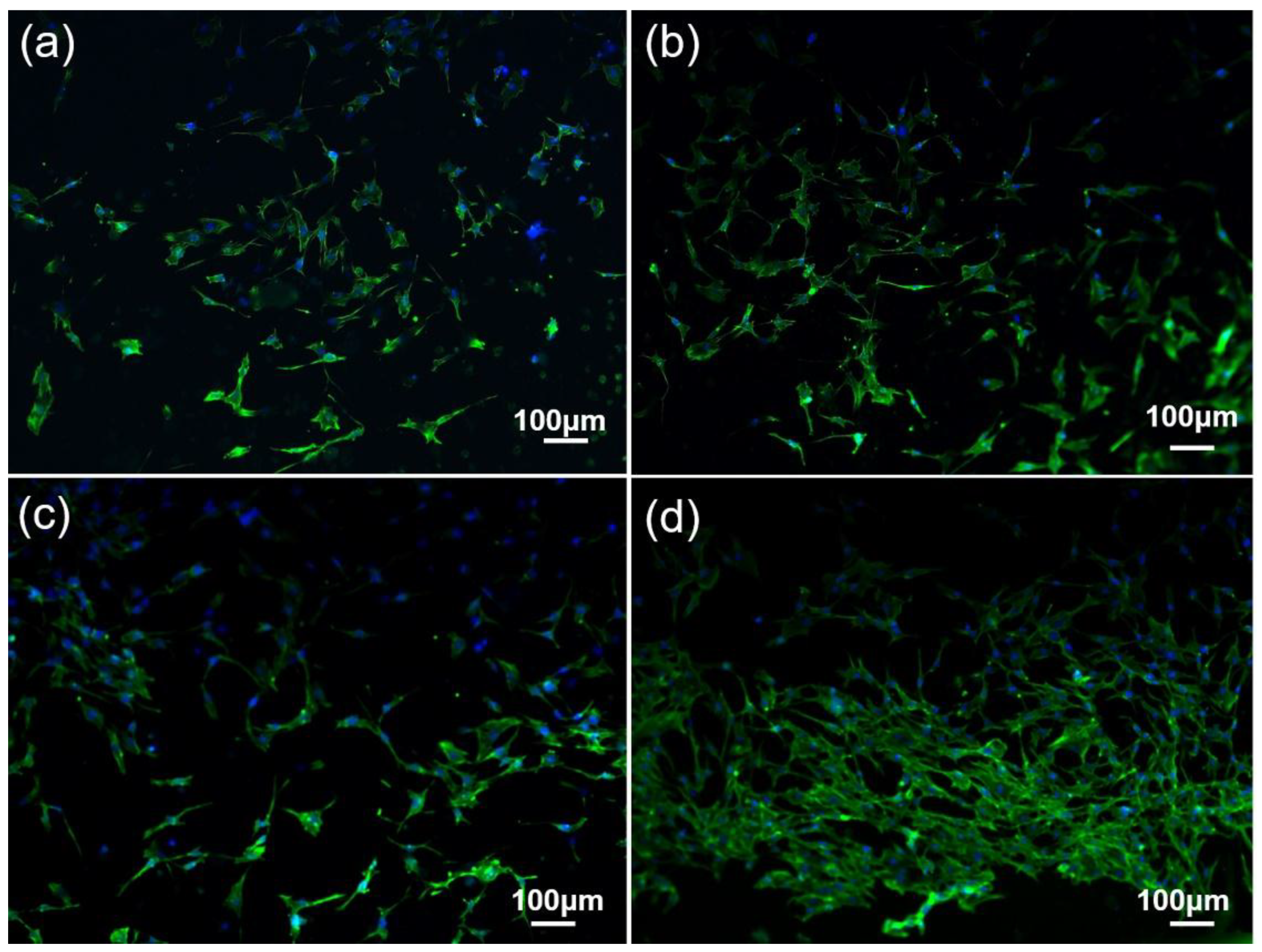 Nanomaterials 08 00729 g013