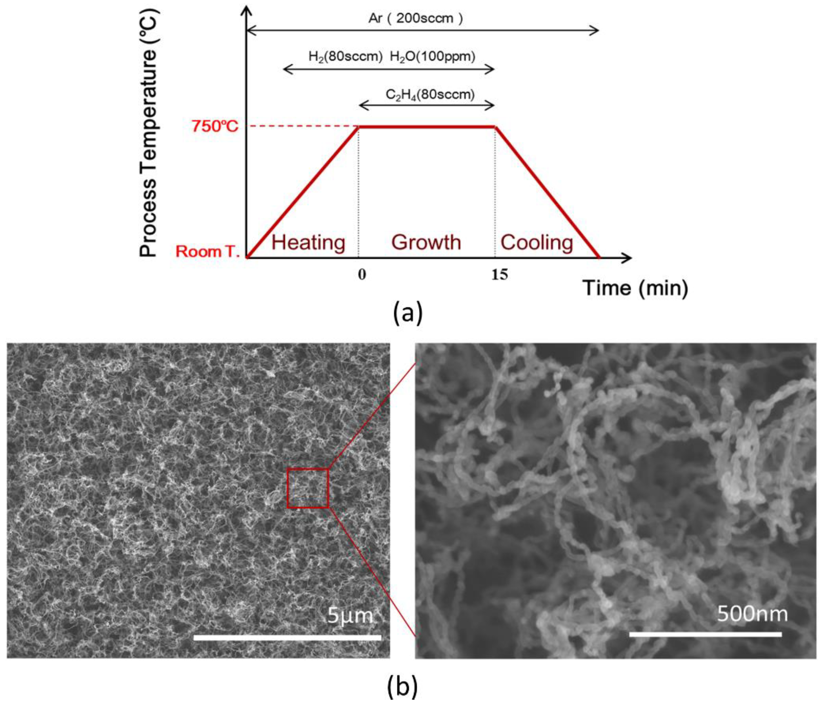 Nanomaterials 08 00732 g001