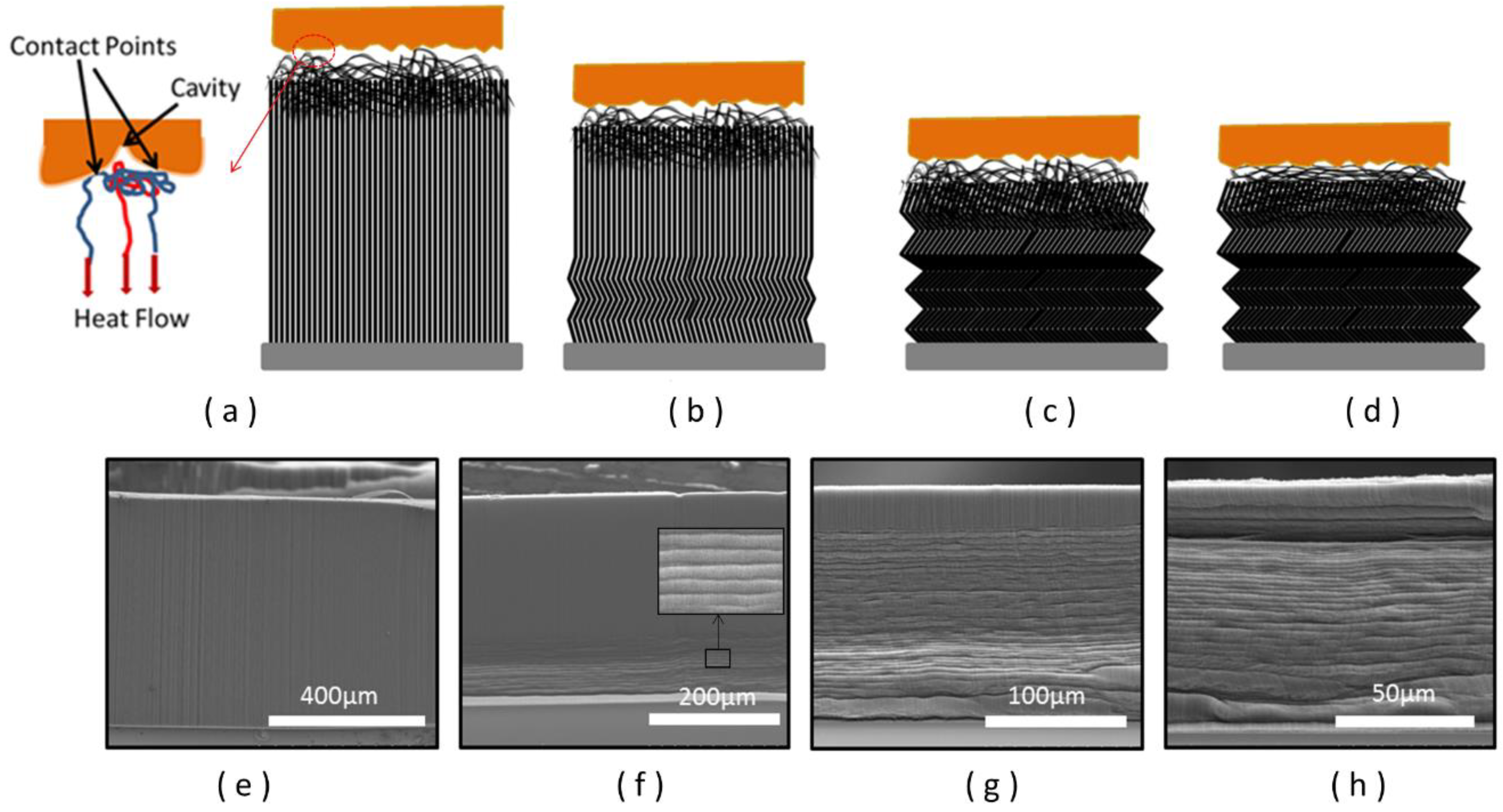 Nanomaterials 08 00732 g005