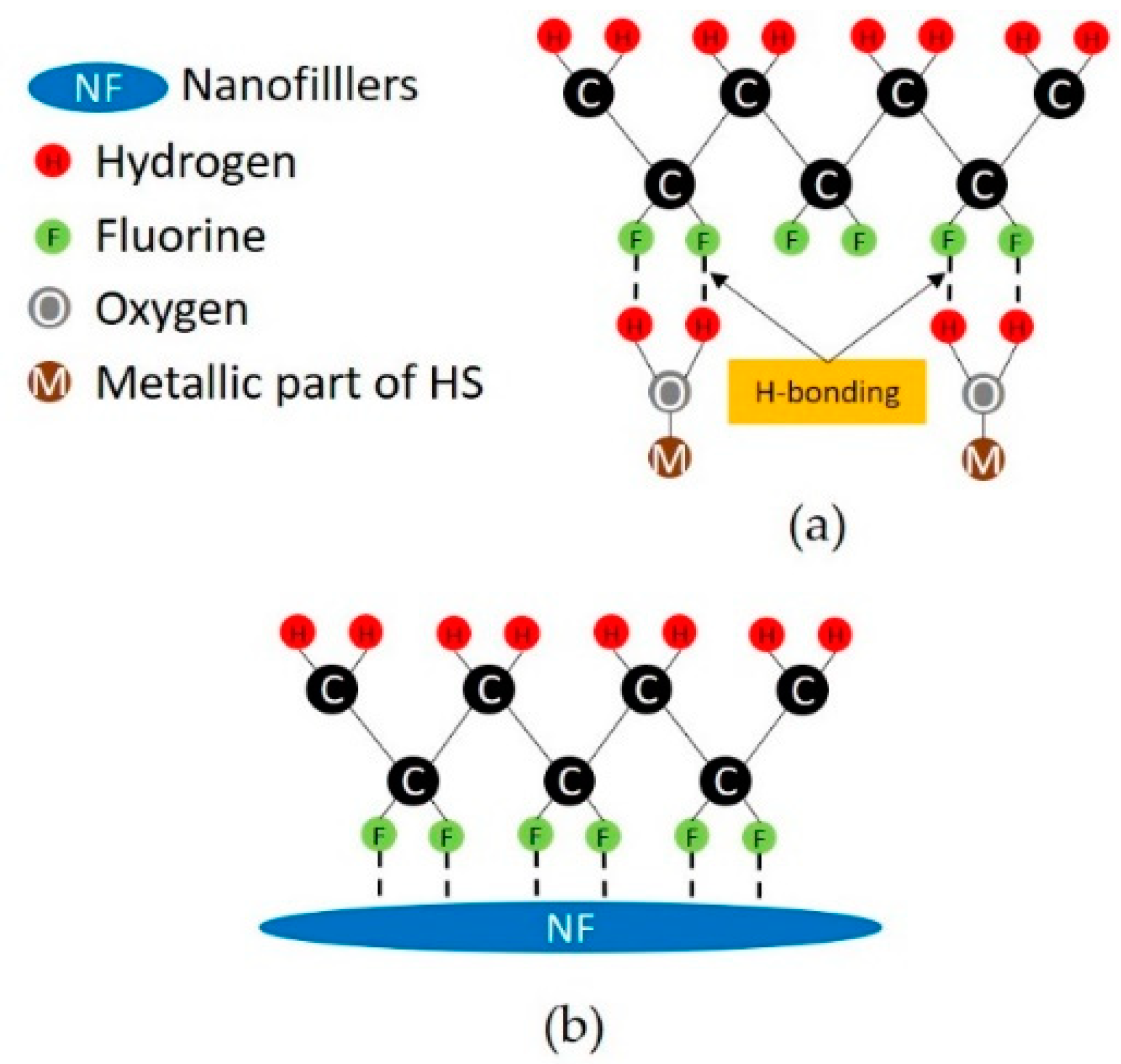 Nanomaterials 08 00743 g011
