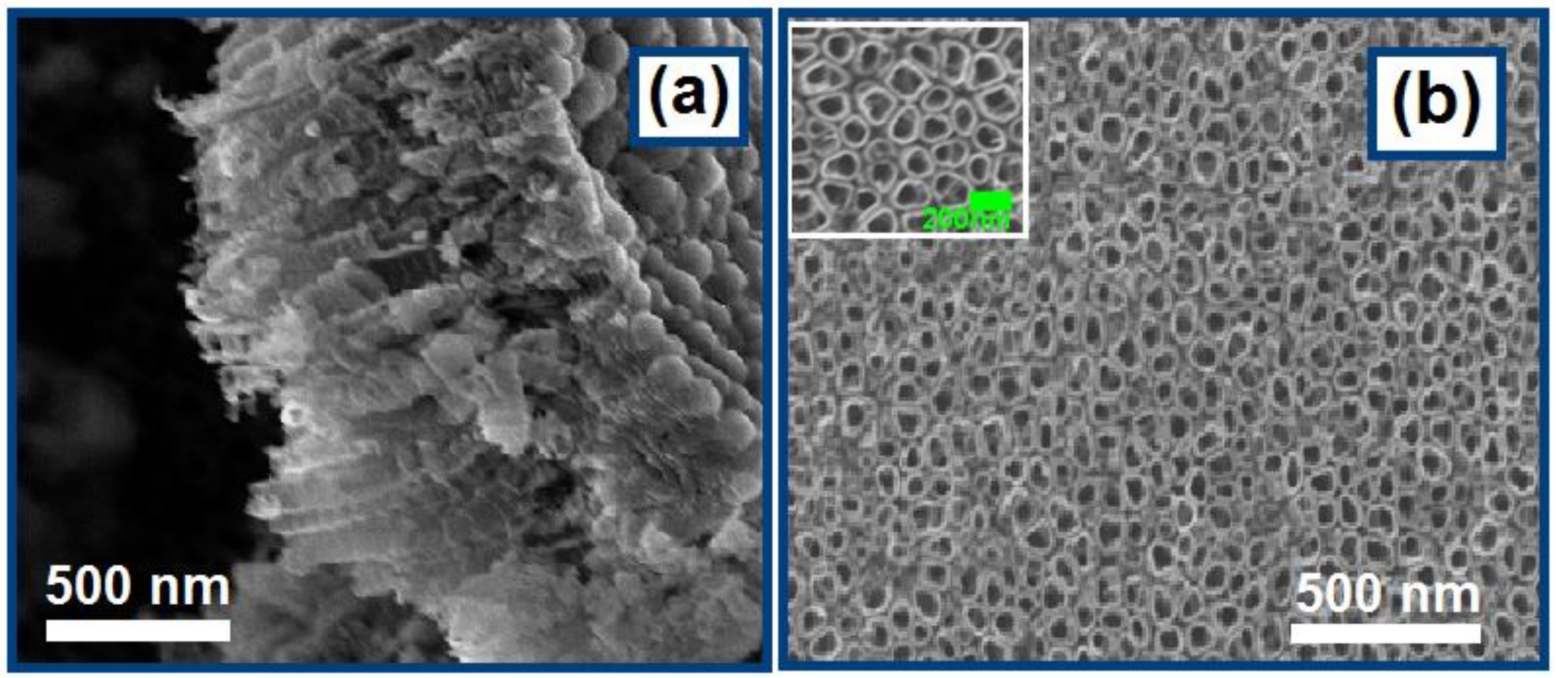 Nanomaterials 08 00783 g001