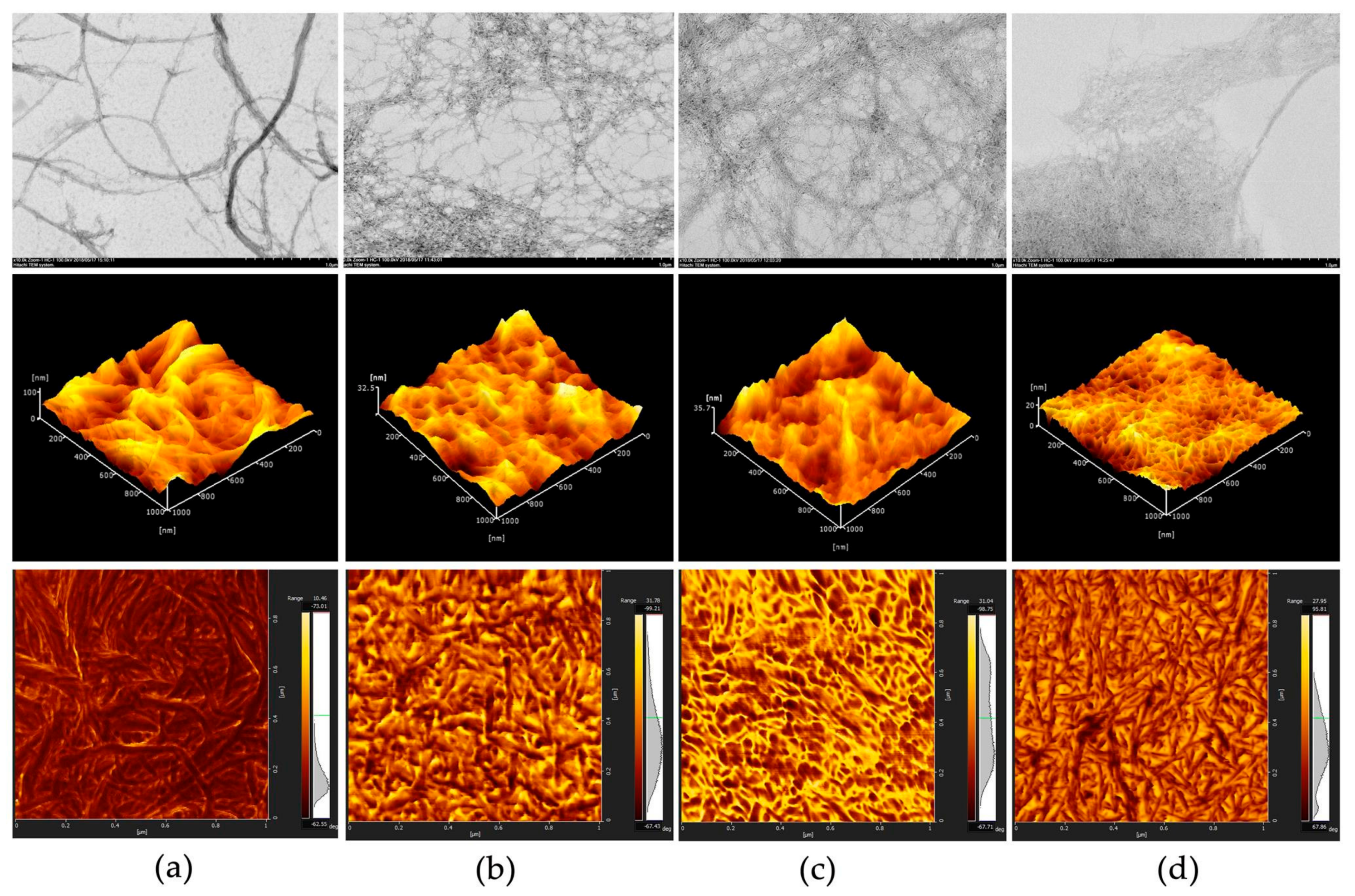 Nanomaterials 08 00800 g001